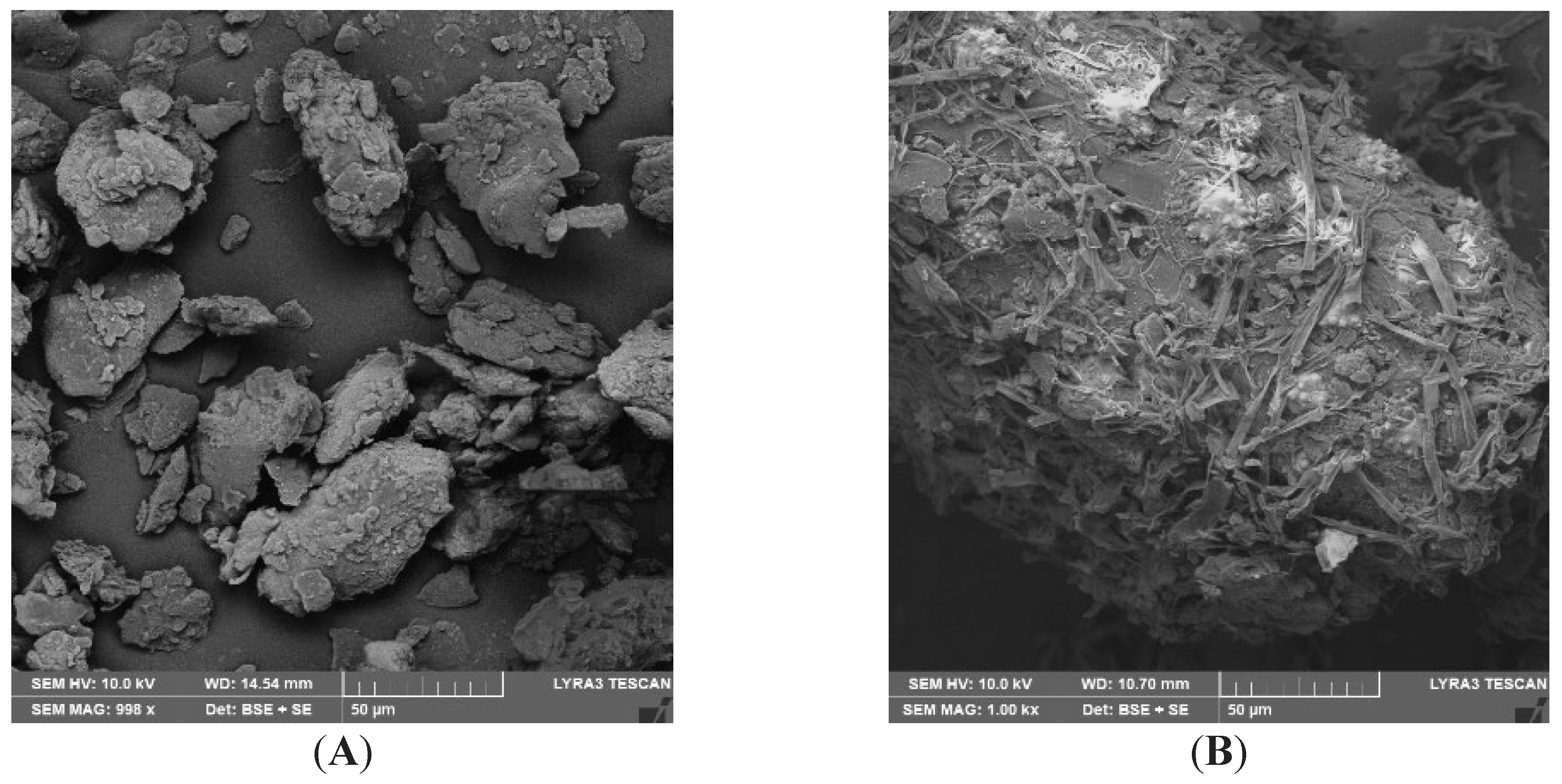 Preprints 138318 g002