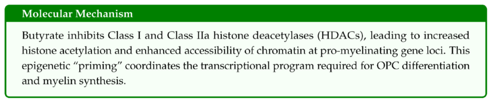 Preprints 199590 i001