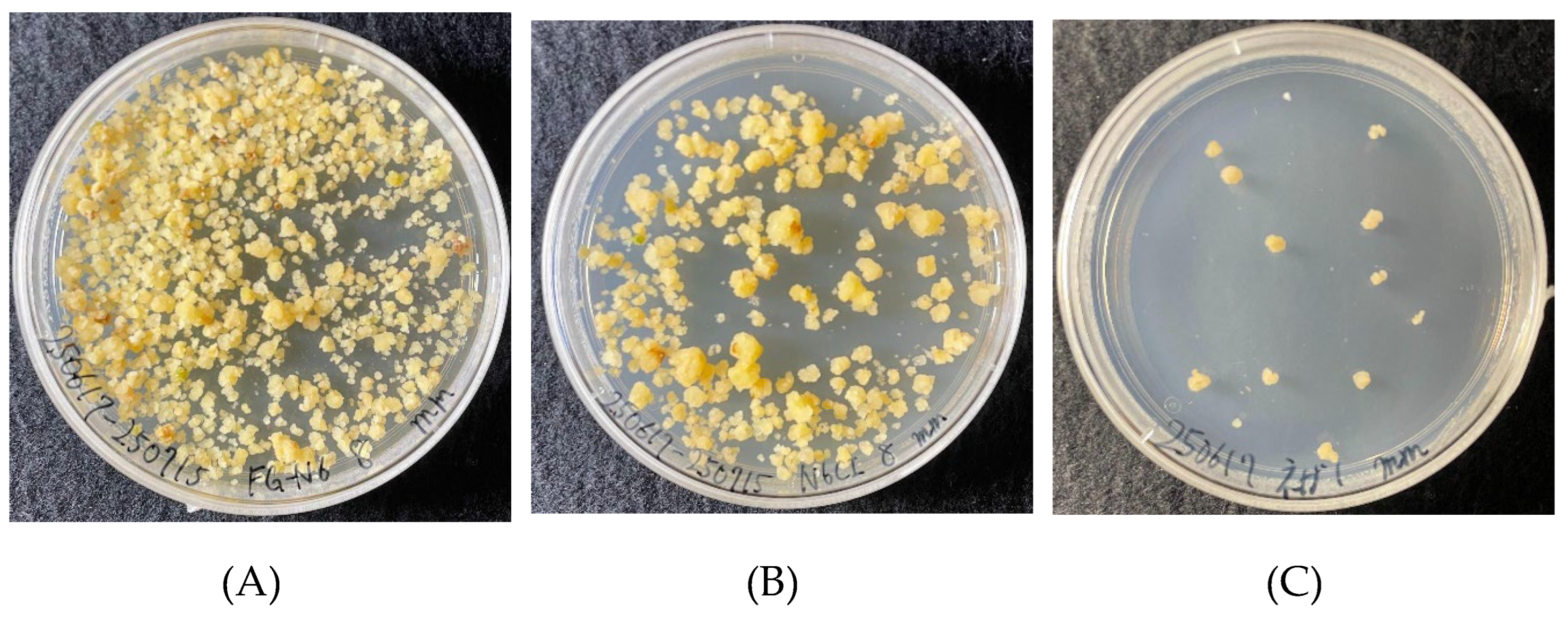 Preprints 200283 g002