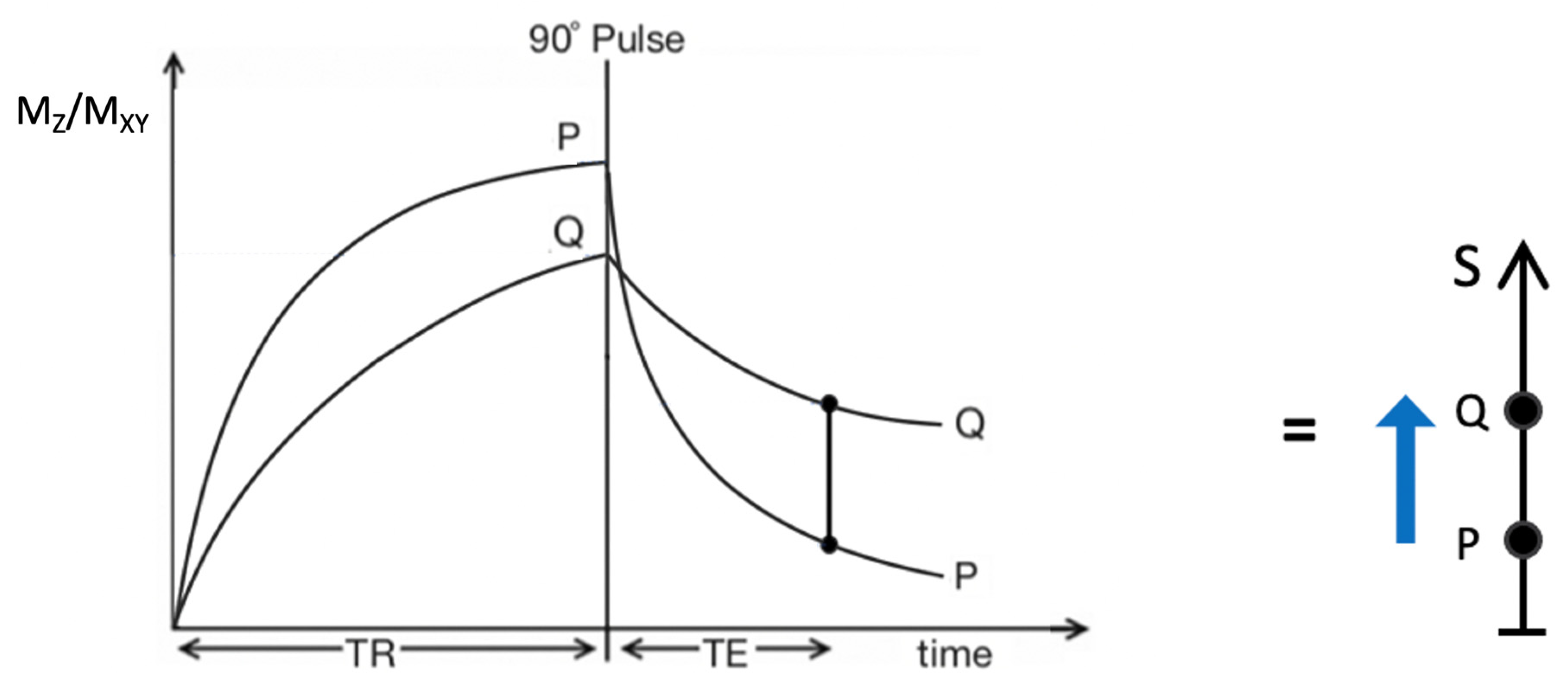 Preprints 161608 g002