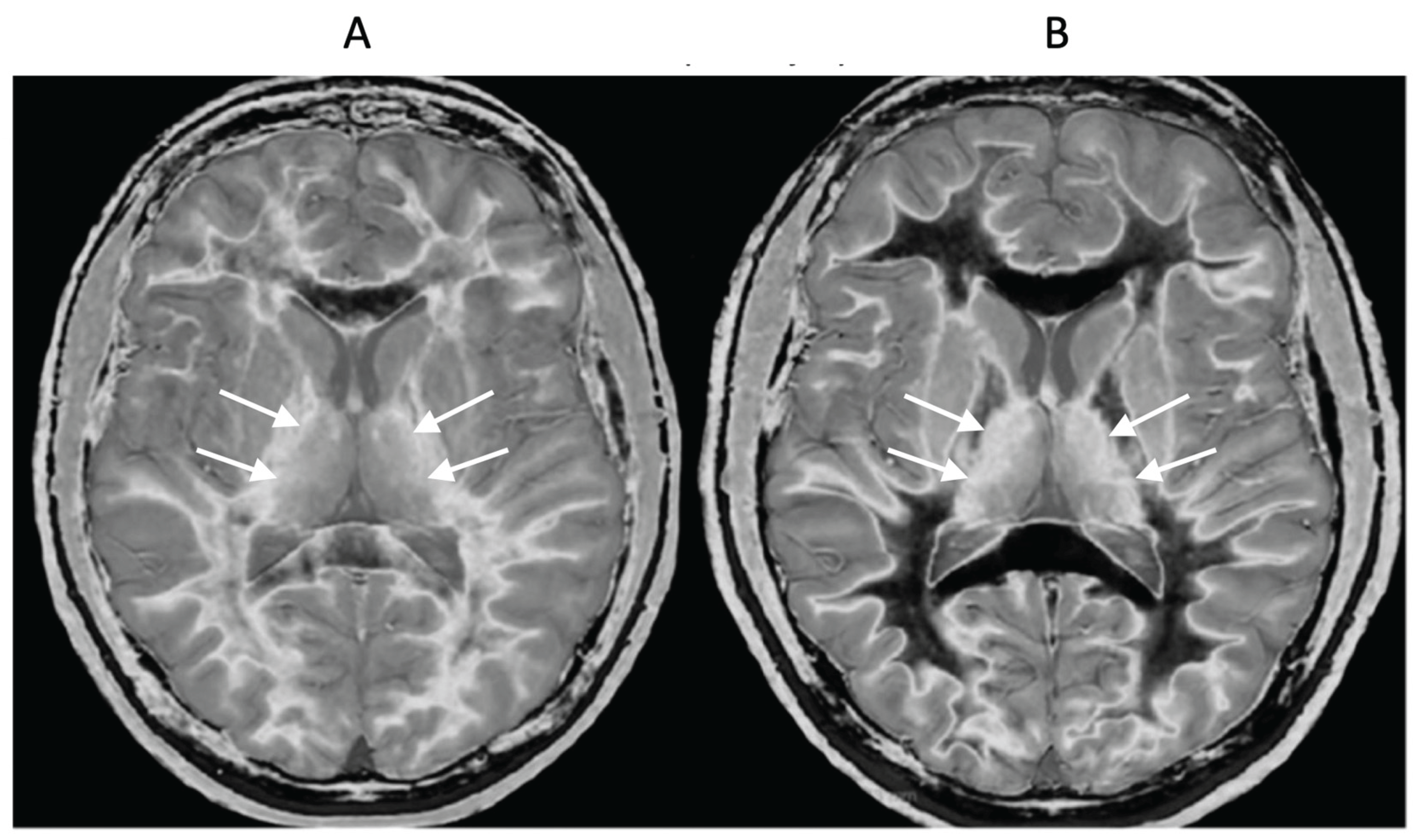 Preprints 161608 g012
