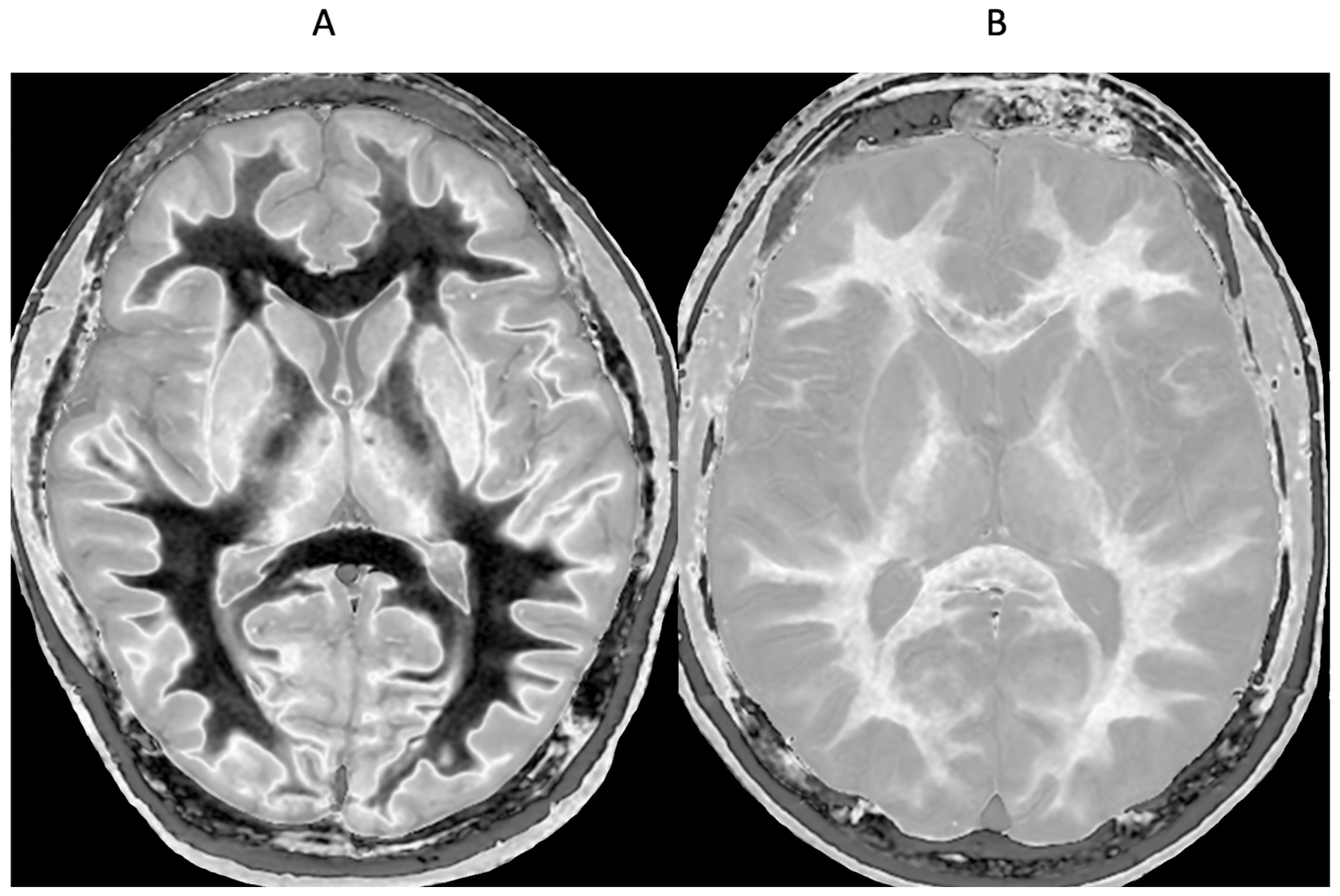 Preprints 161608 g013