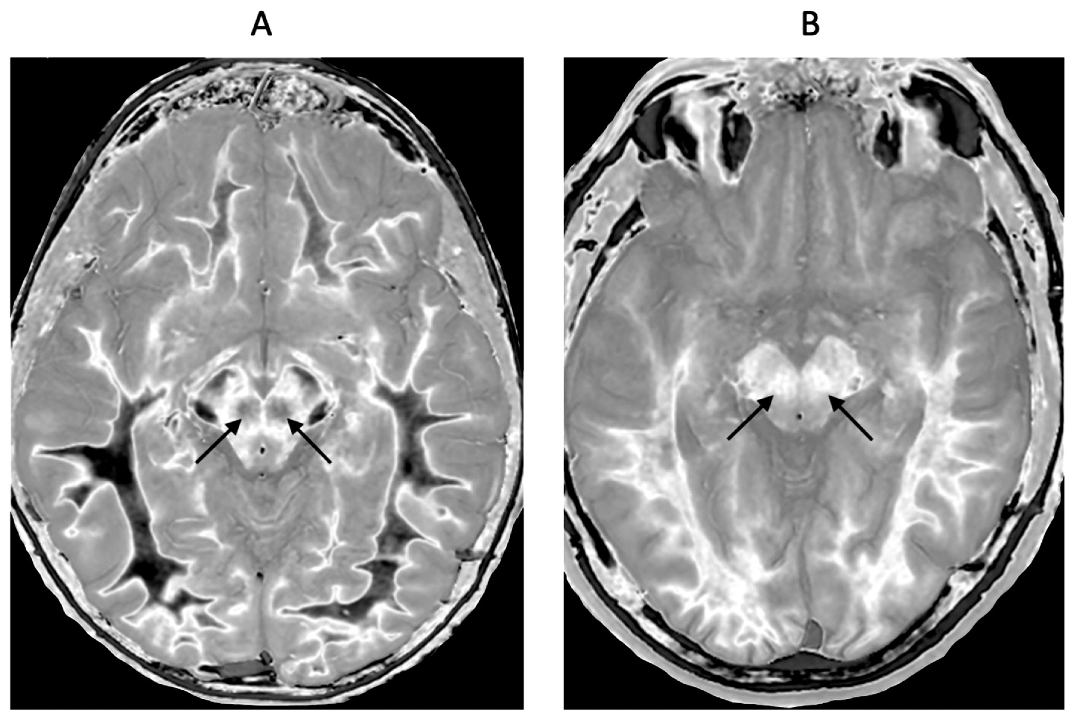Preprints 161608 g014