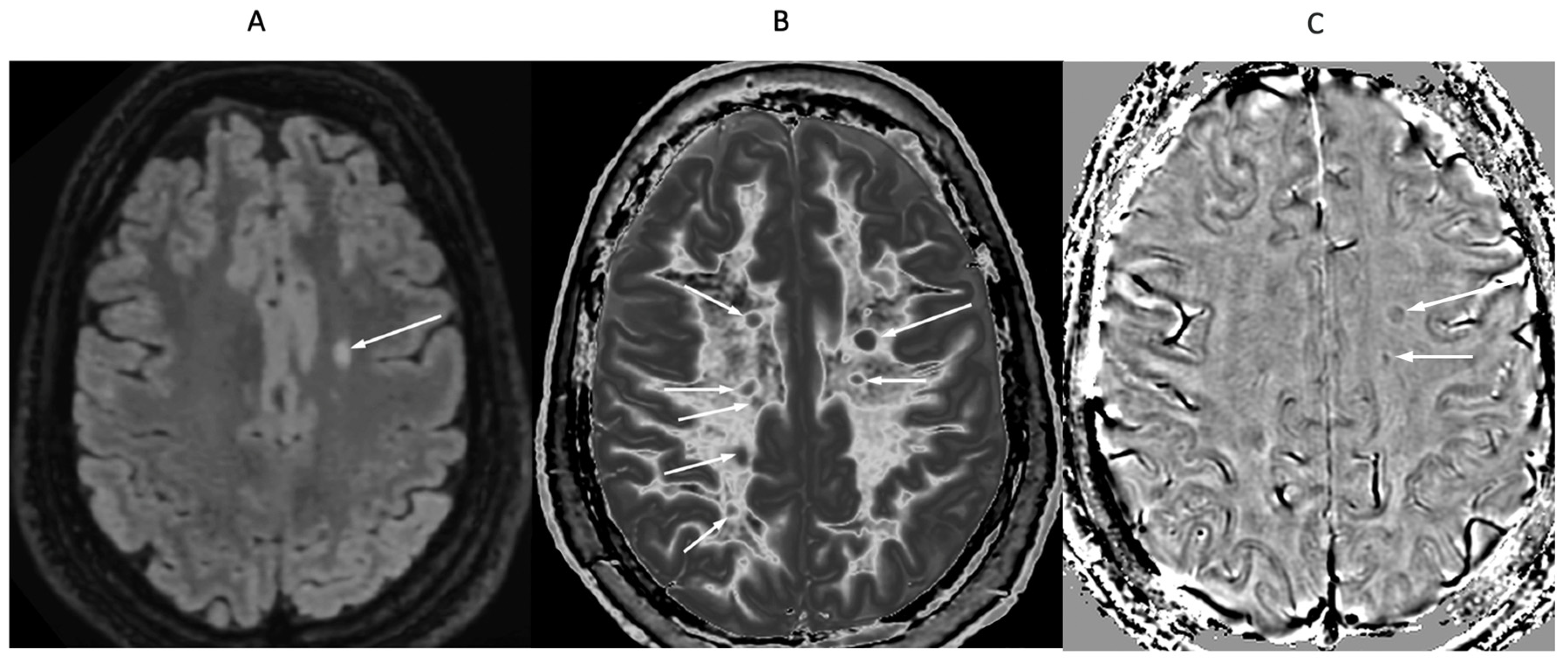 Preprints 161608 g016