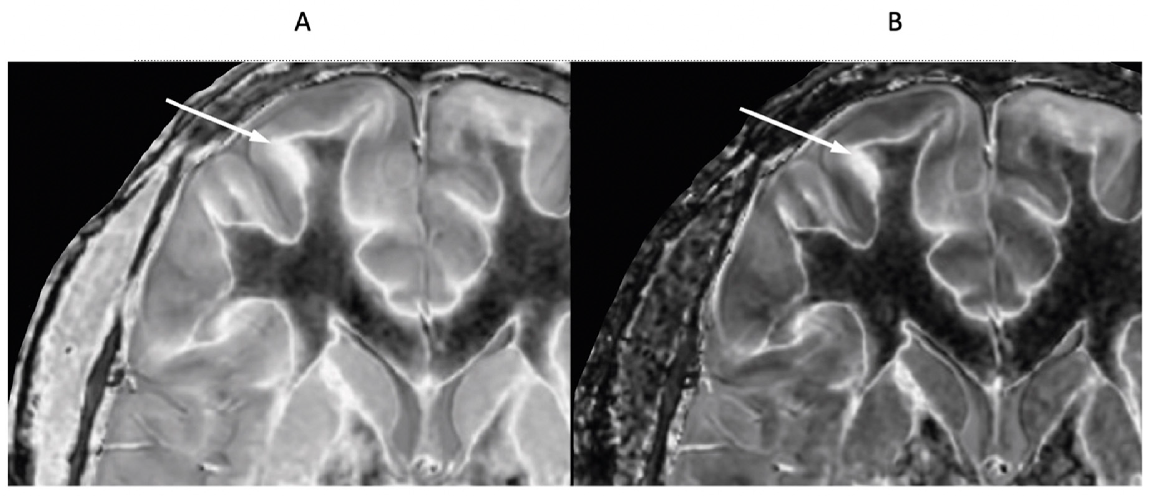 Preprints 161608 g017