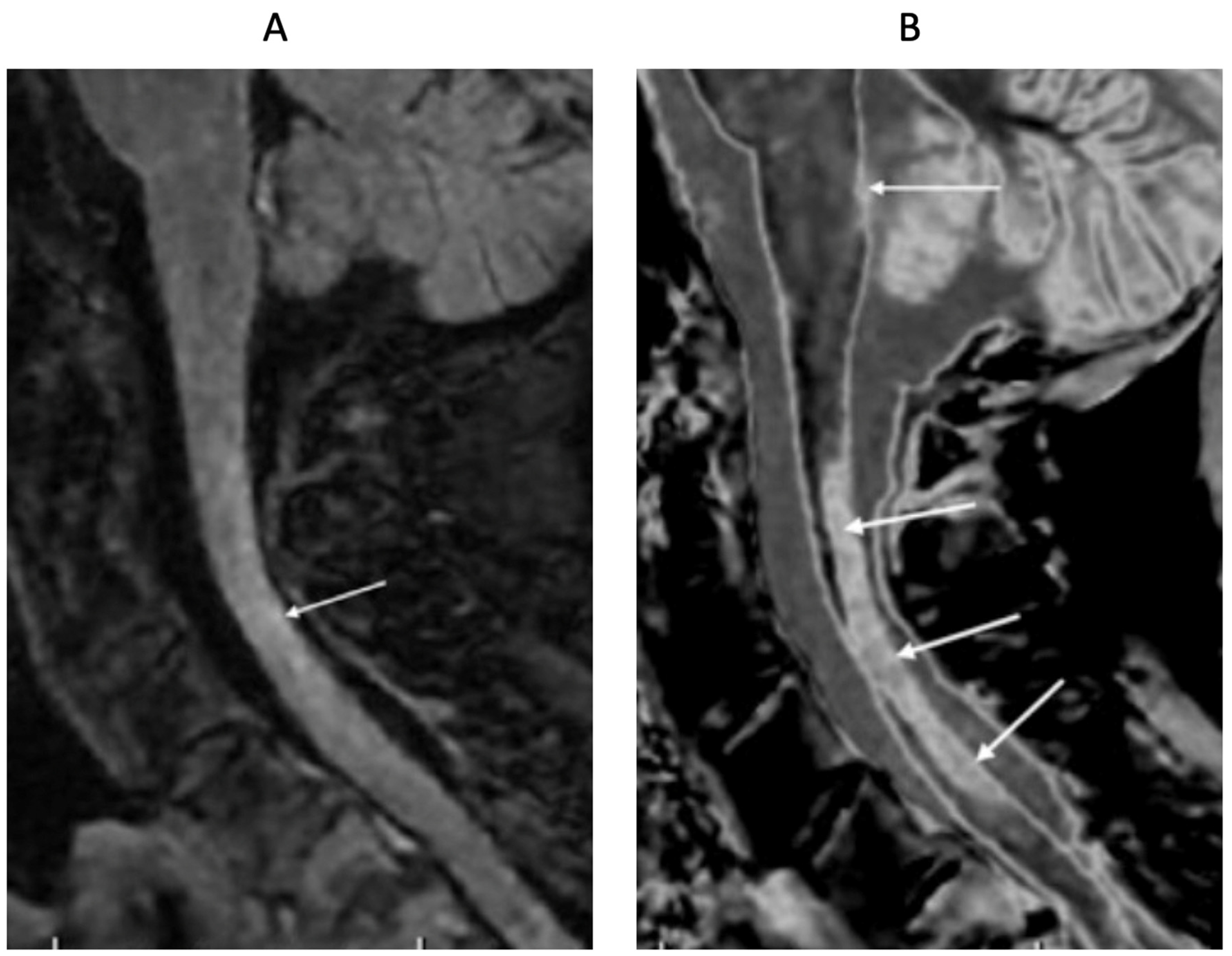 Preprints 161608 g018