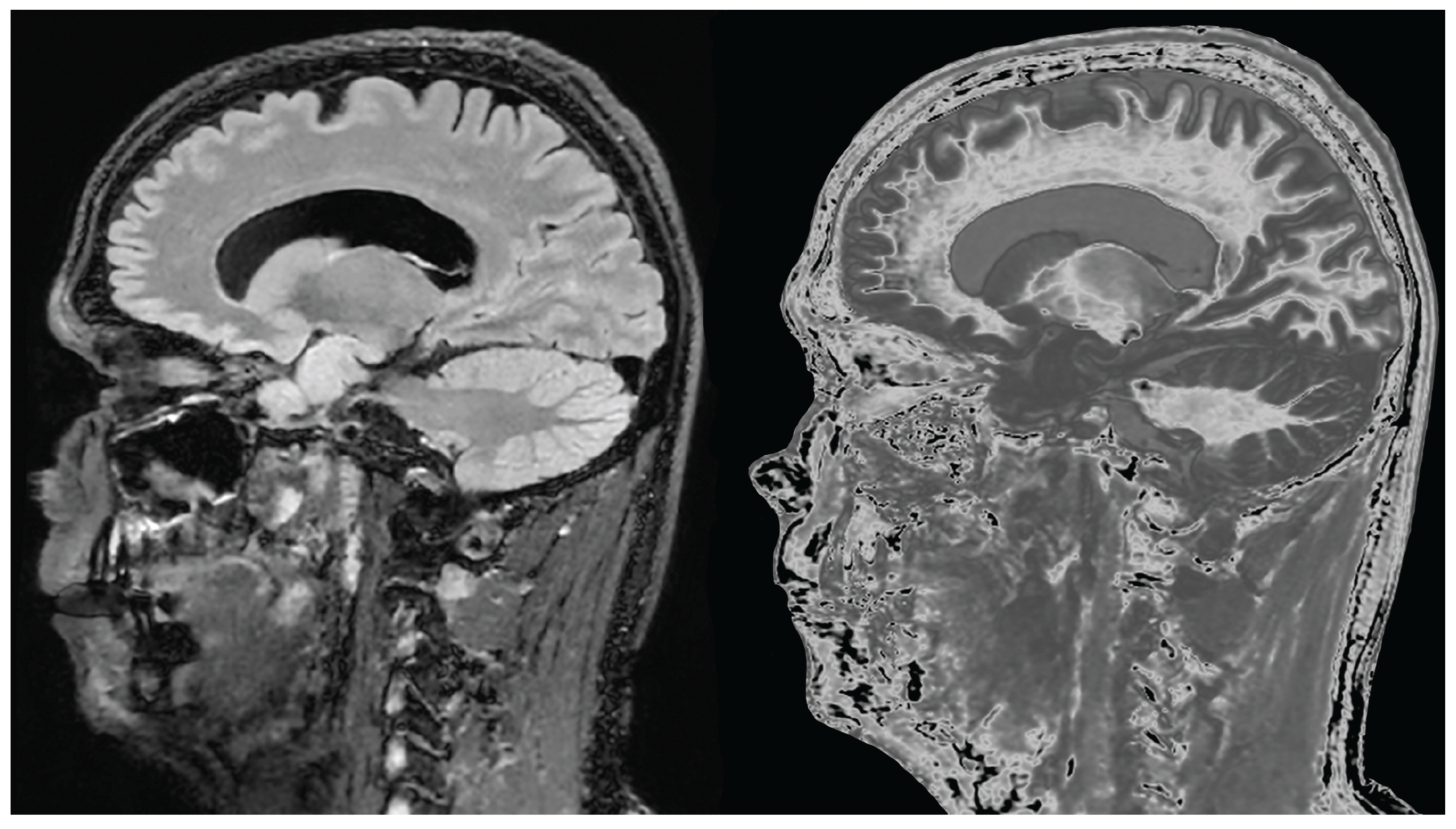 Preprints 161608 g021