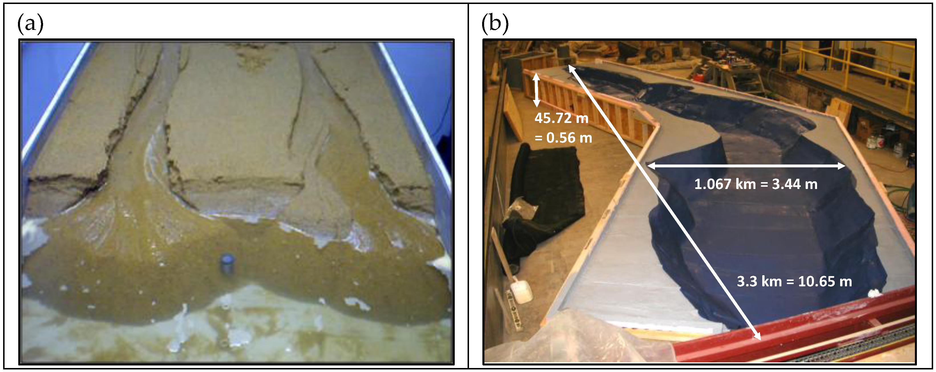 Preprints 187951 g002a