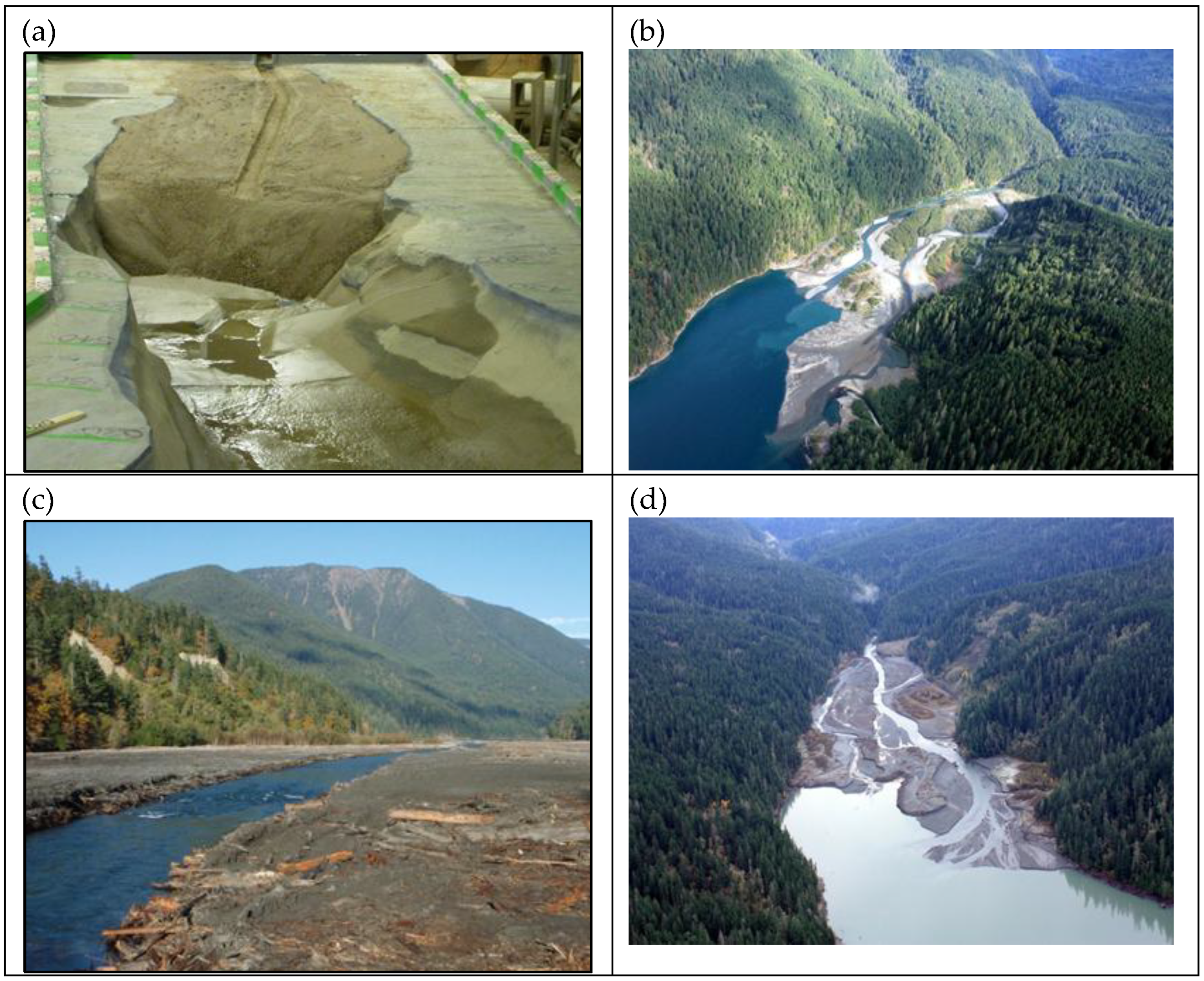 Preprints 187951 g003