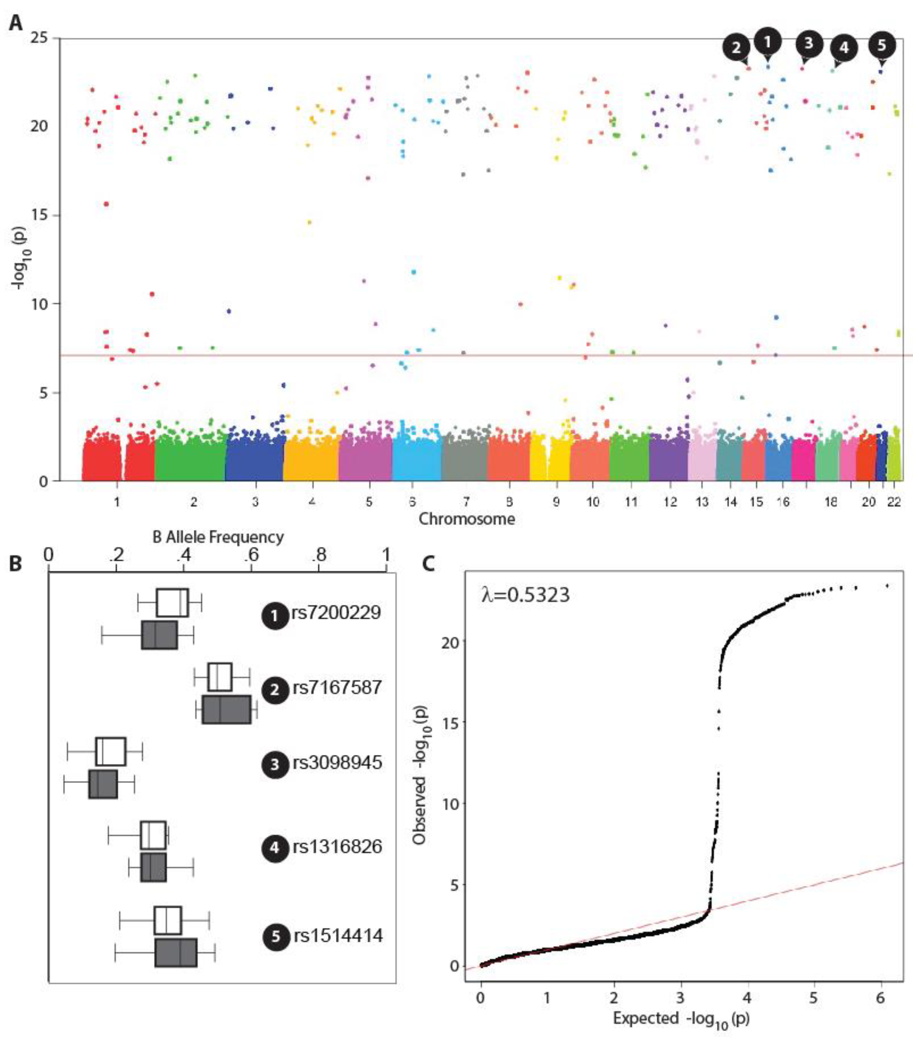 Preprints 202168 g001