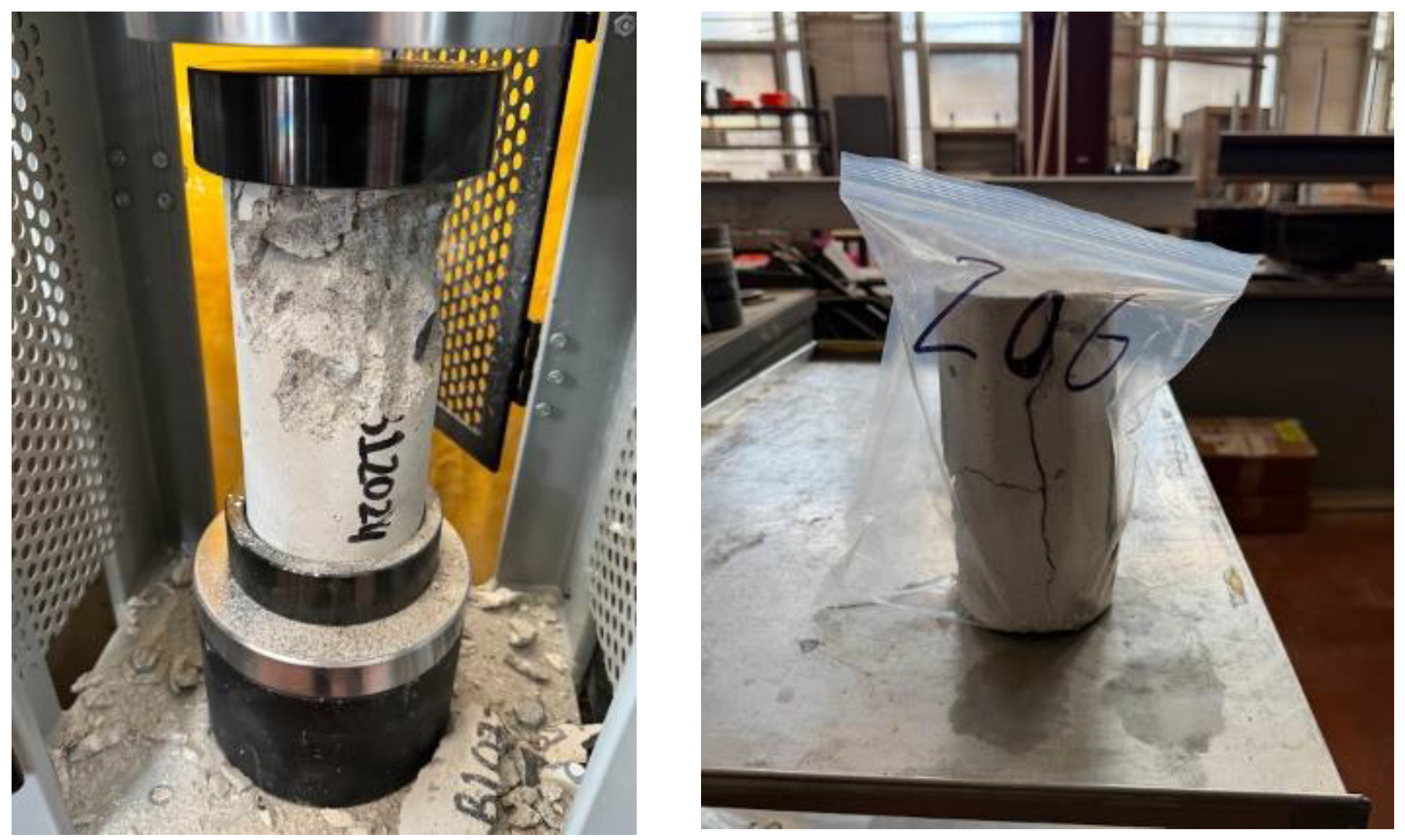 Preprints 188233 g005