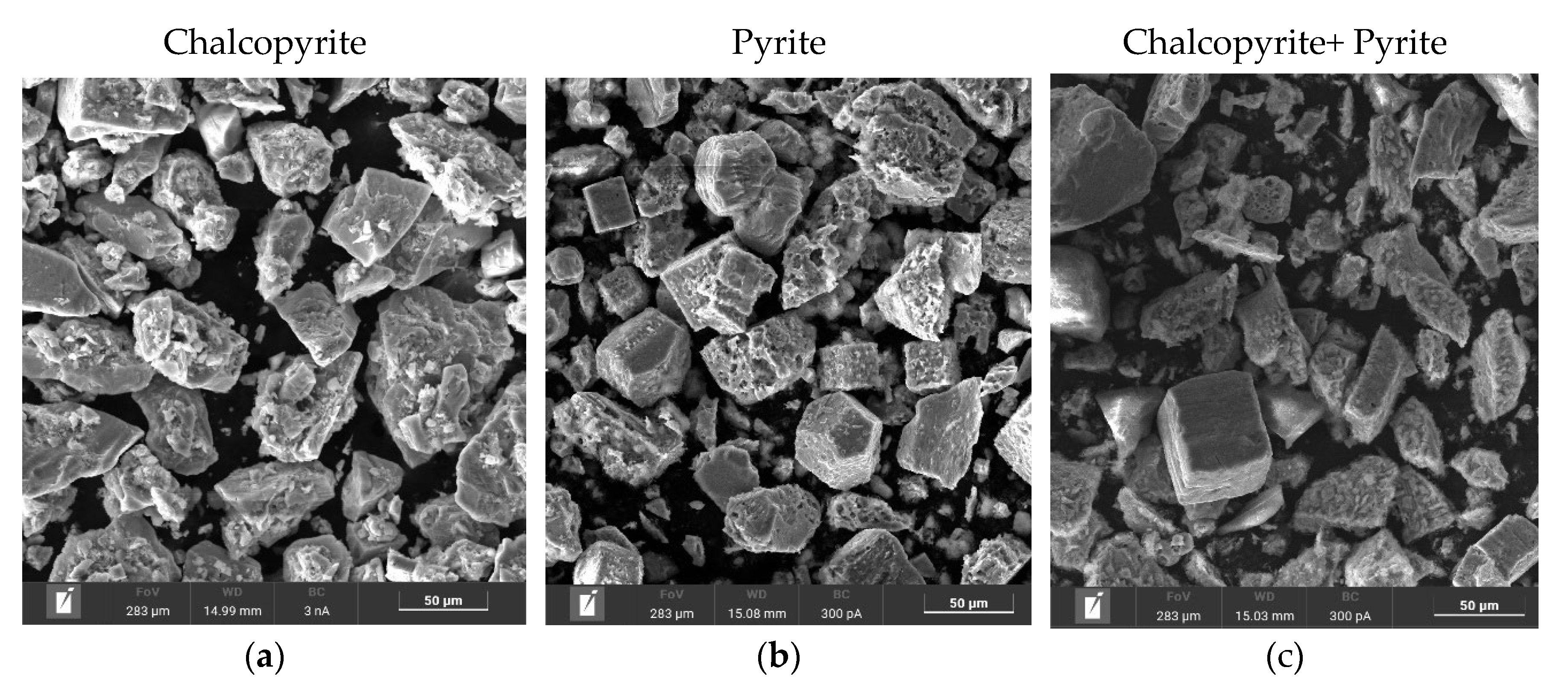Preprints 141556 g016a