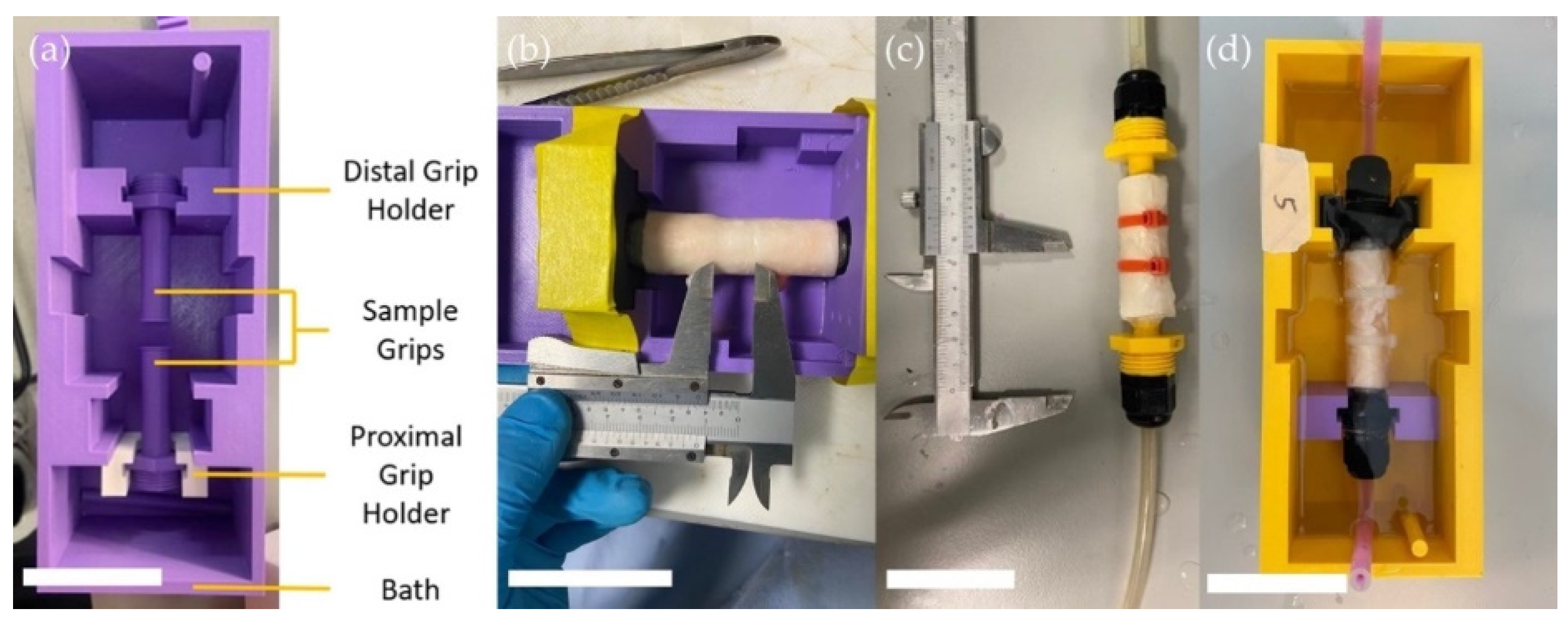 Preprints 79834 g001