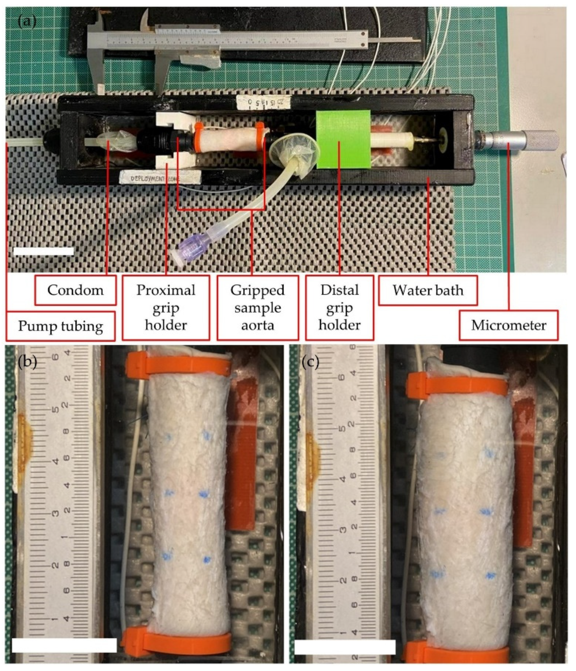 Preprints 79834 g002