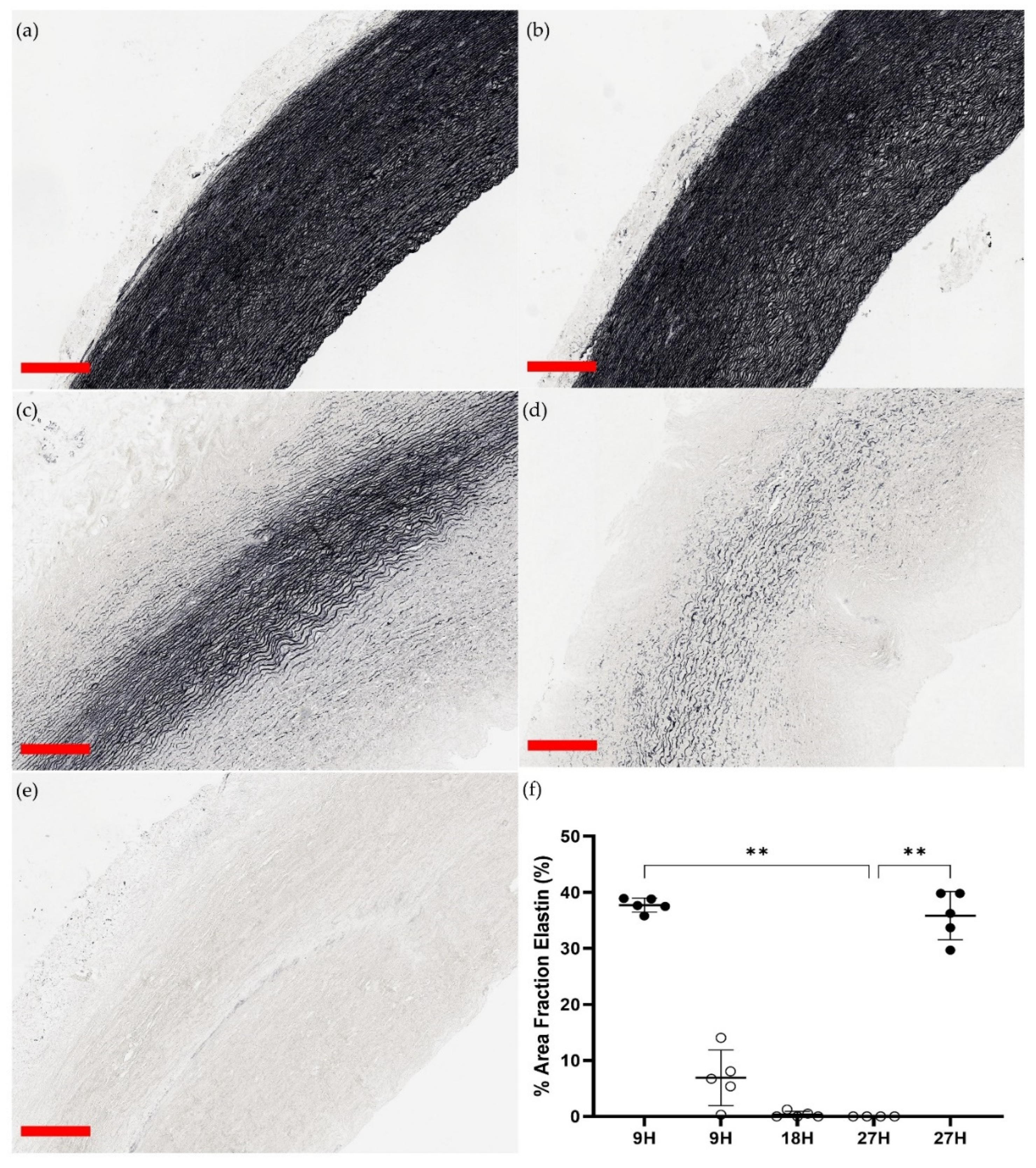 Preprints 79834 g003