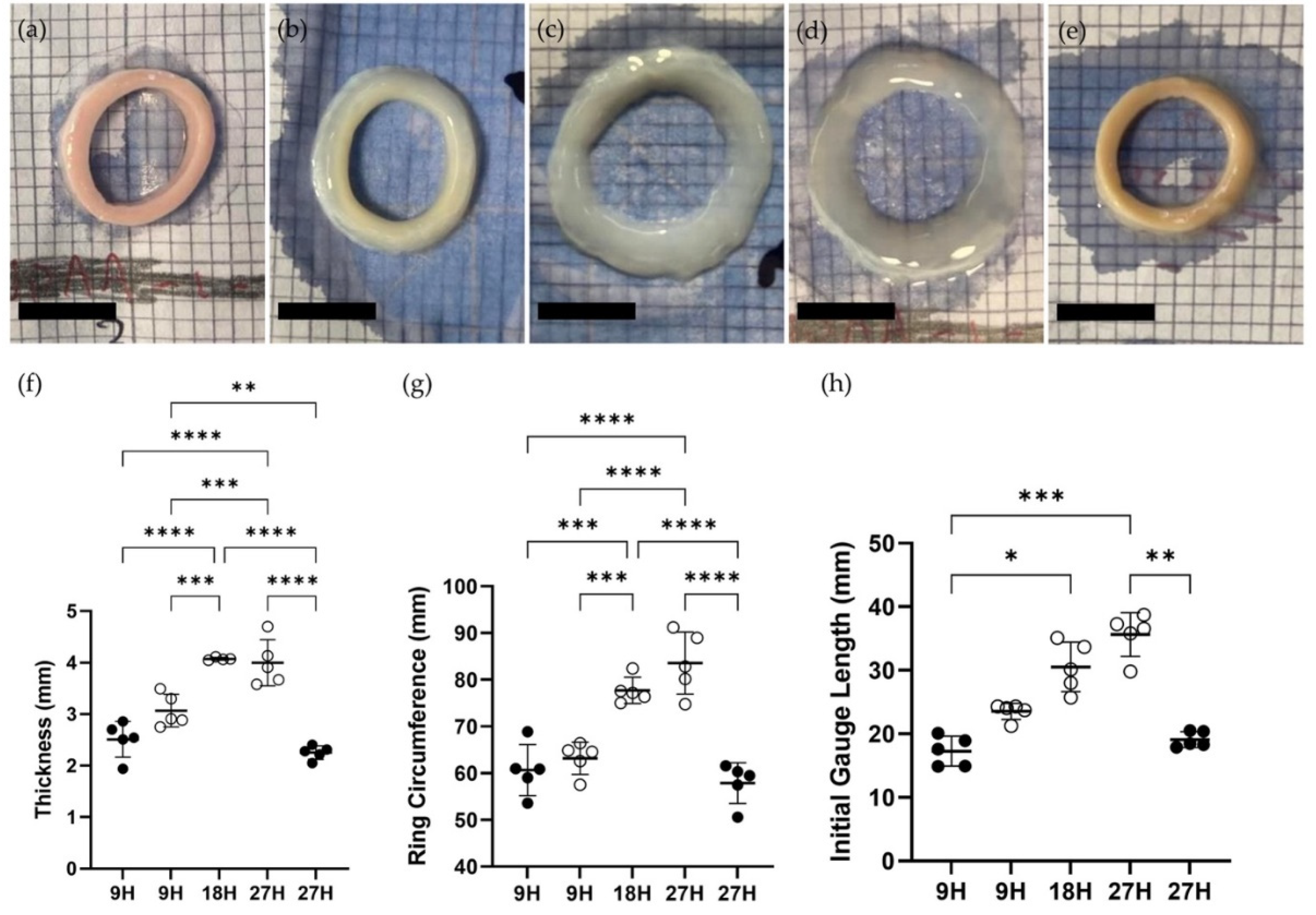 Preprints 79834 g004