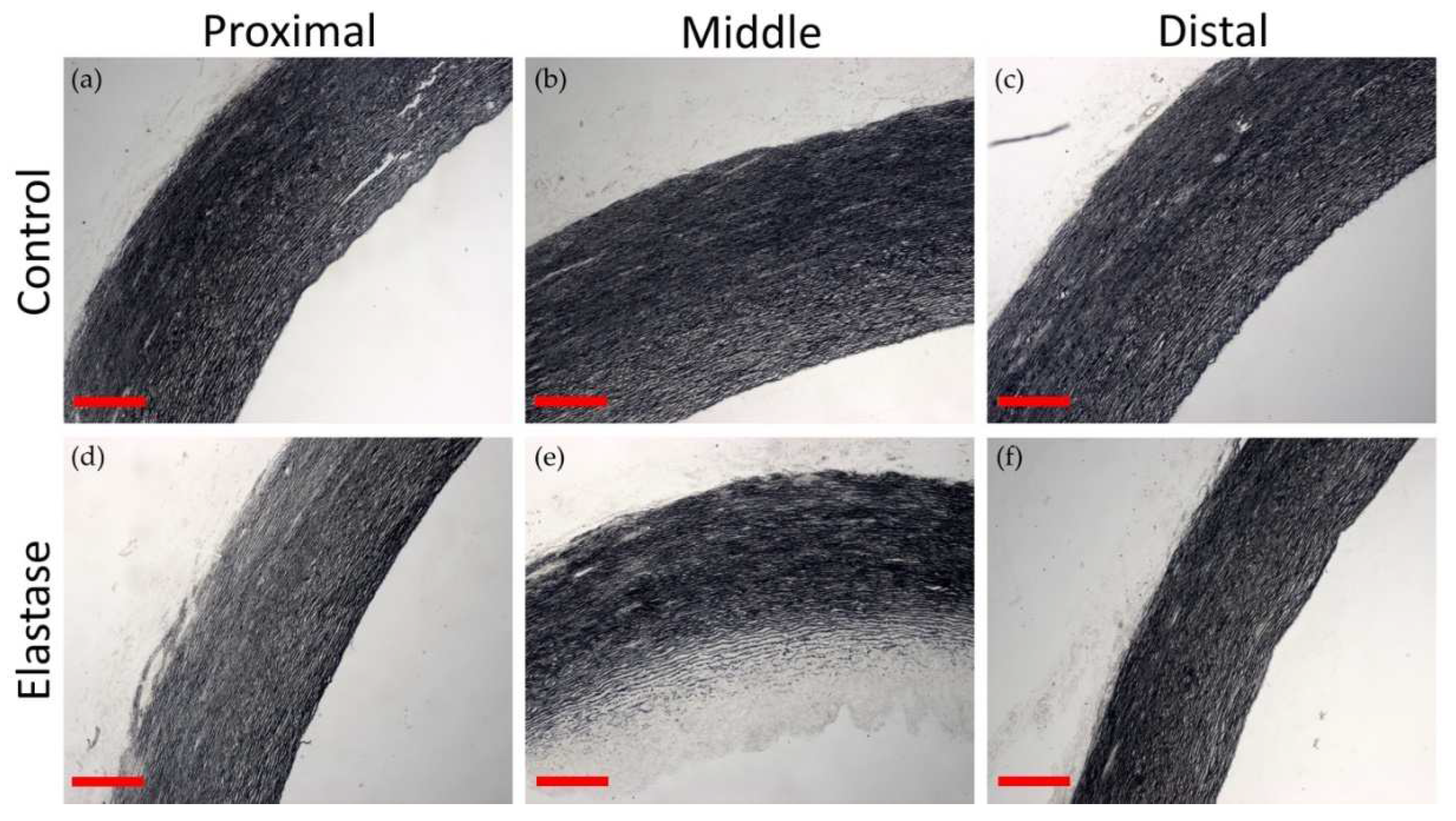 Preprints 79834 g008