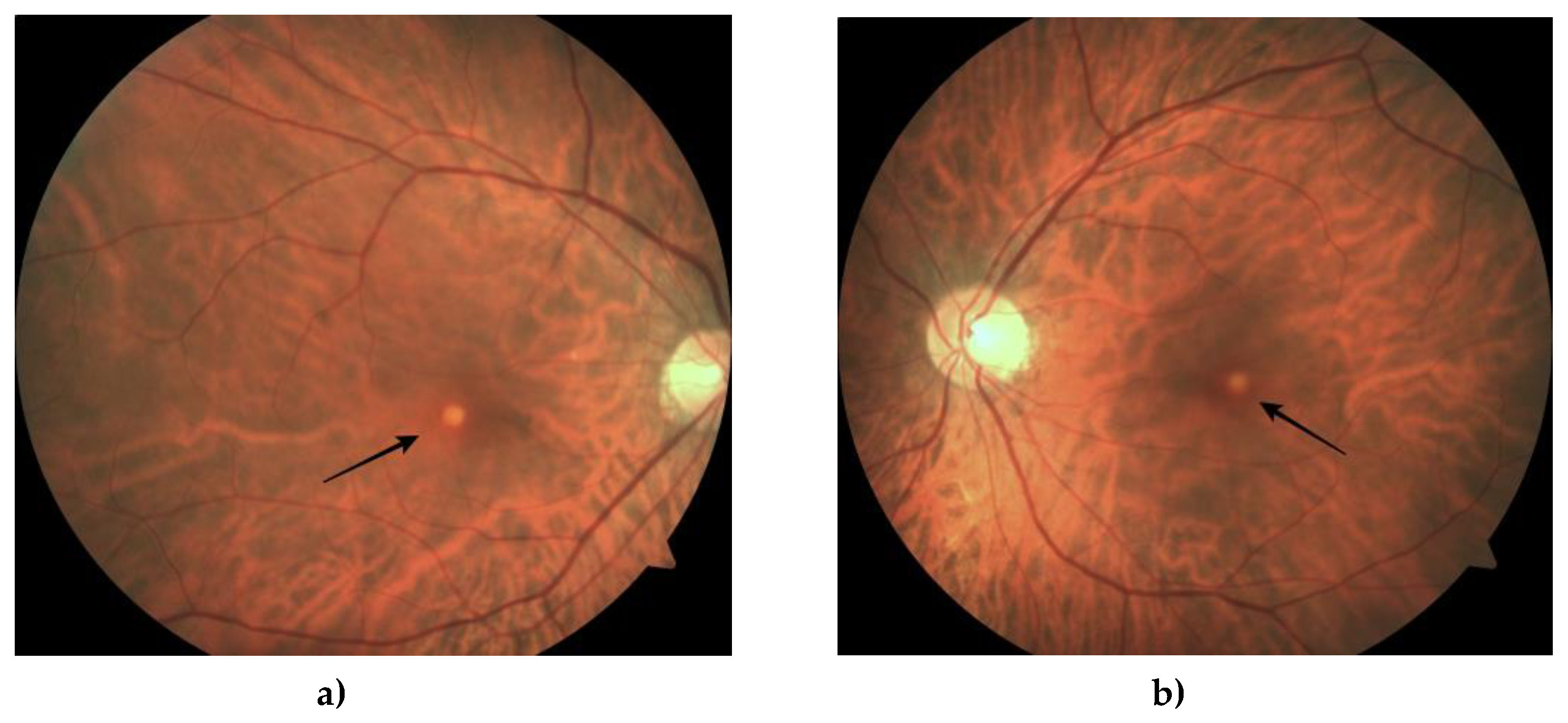 Preprints 76552 g002