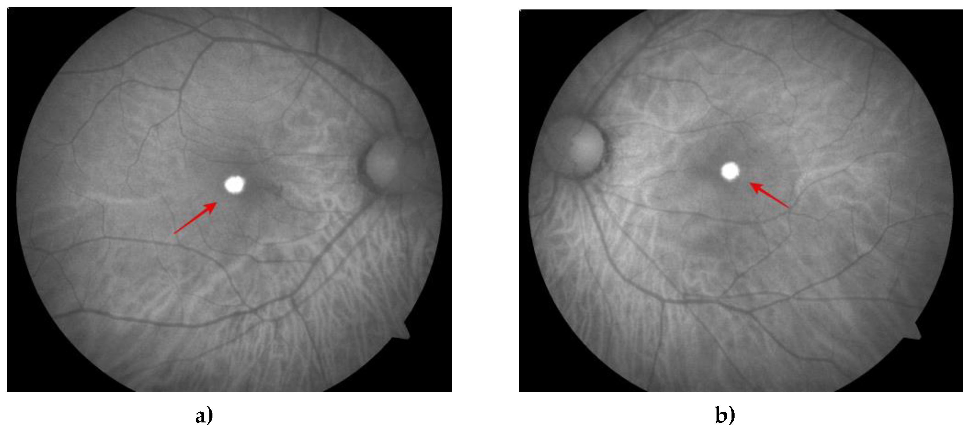 Preprints 76552 g003