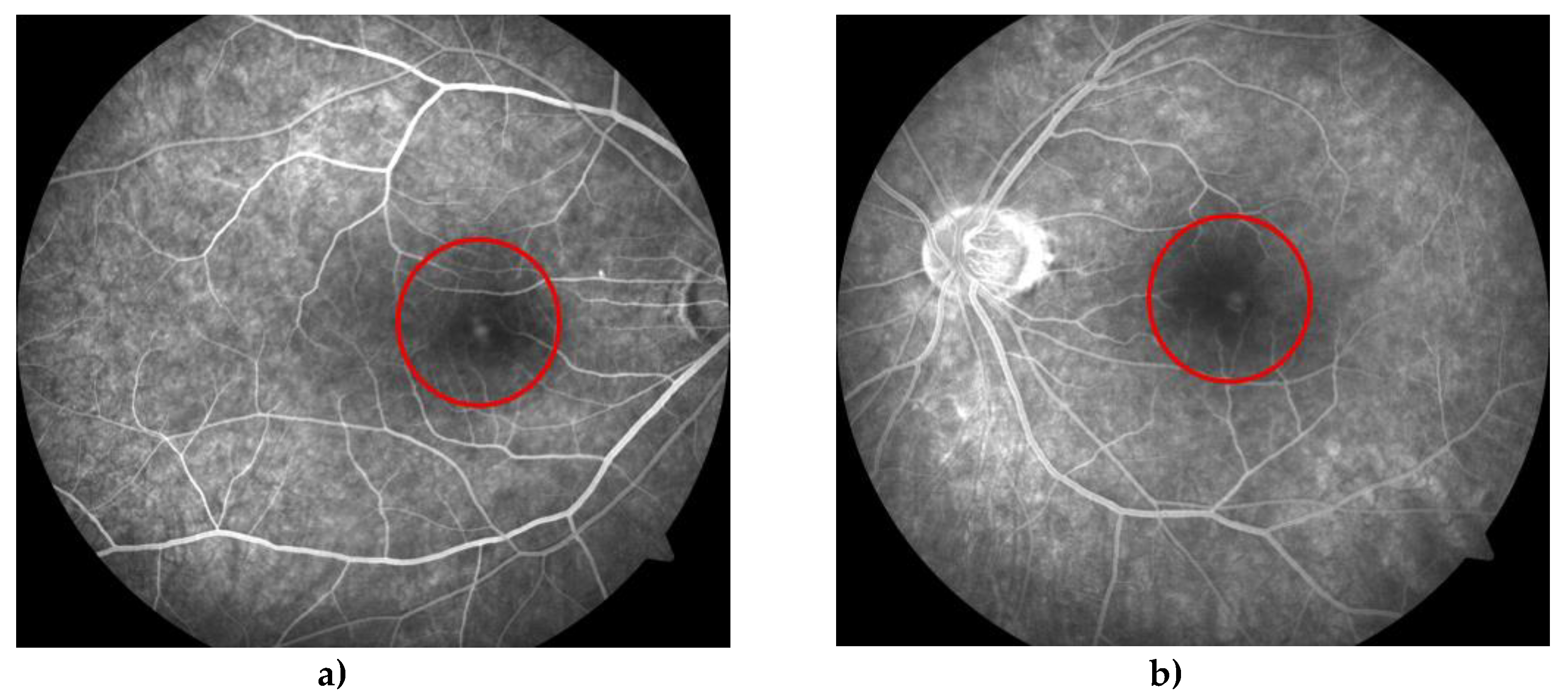 Preprints 76552 g004