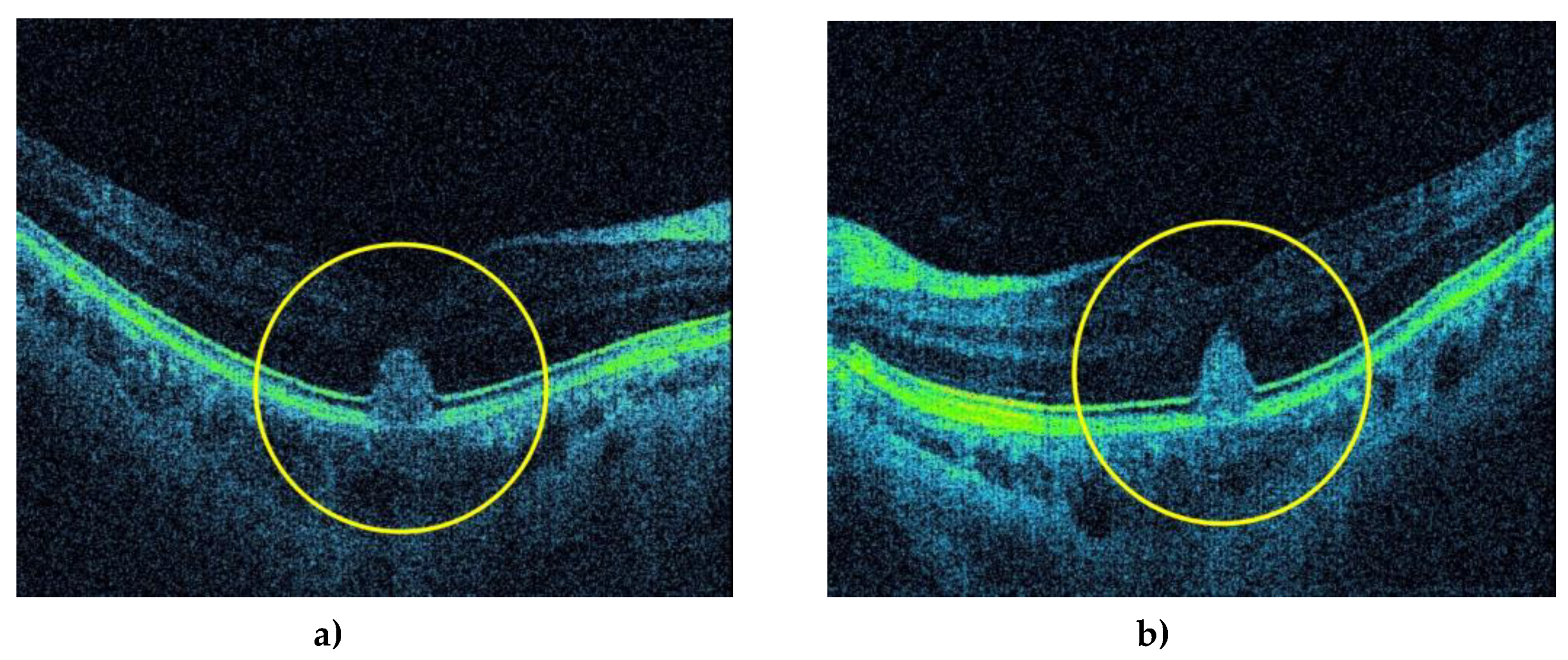 Preprints 76552 g005