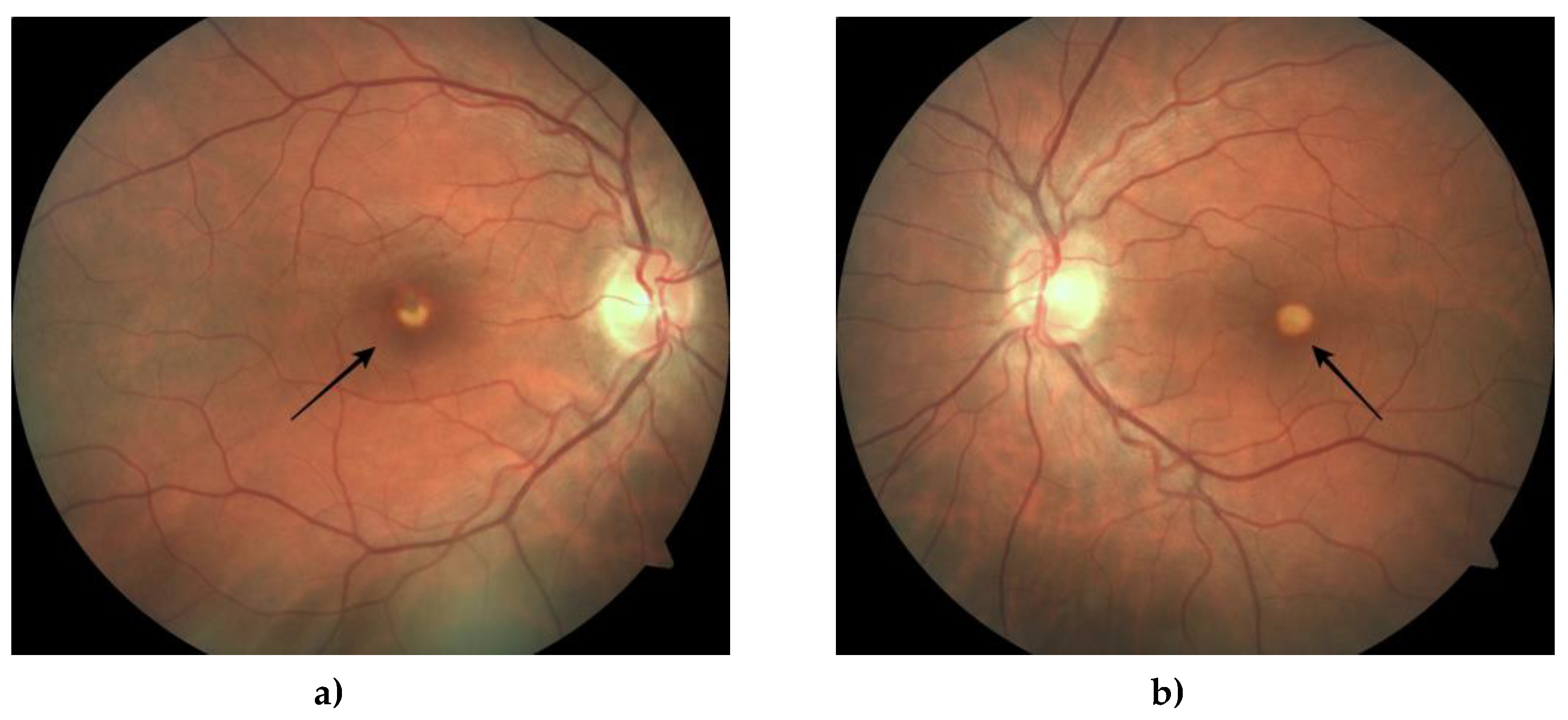 Preprints 76552 g009