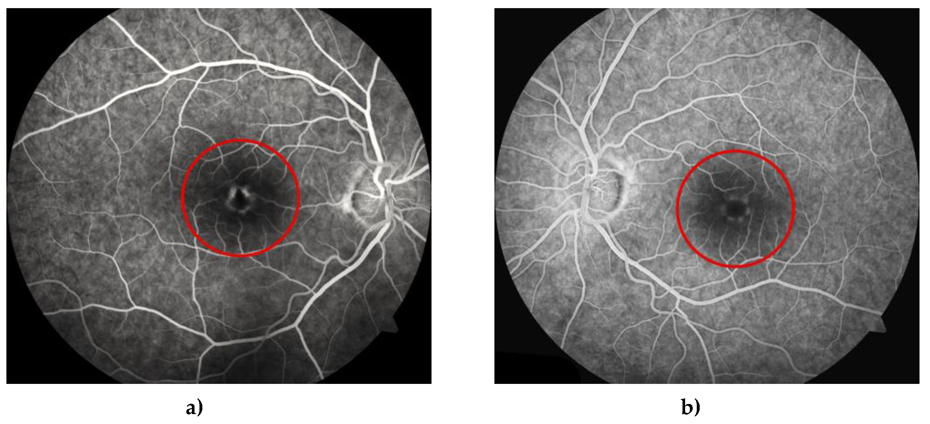 Preprints 76552 g011