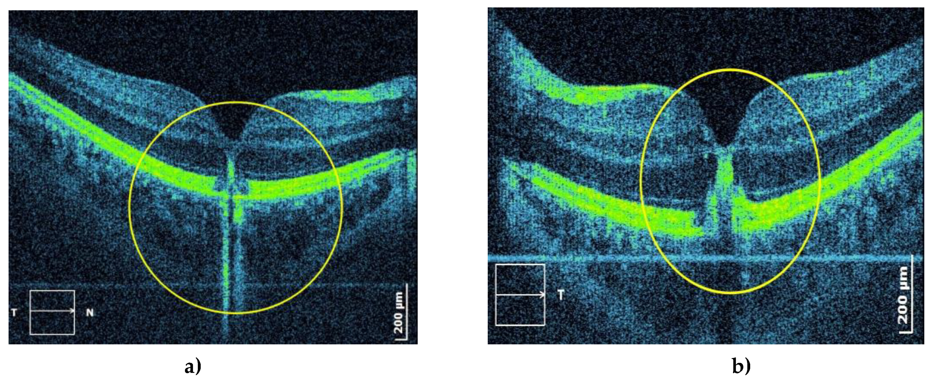 Preprints 76552 g012