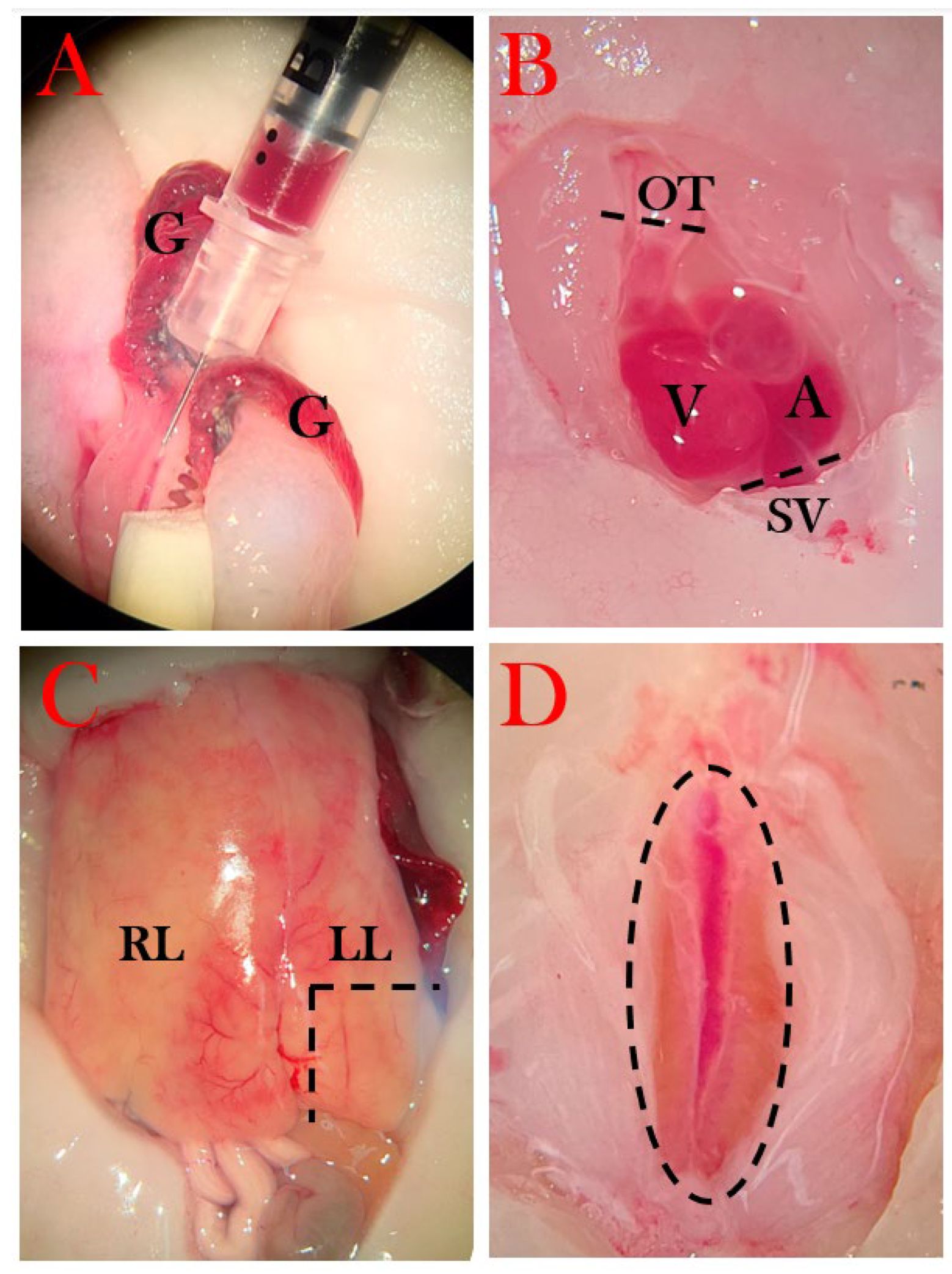 Preprints 67511 g004