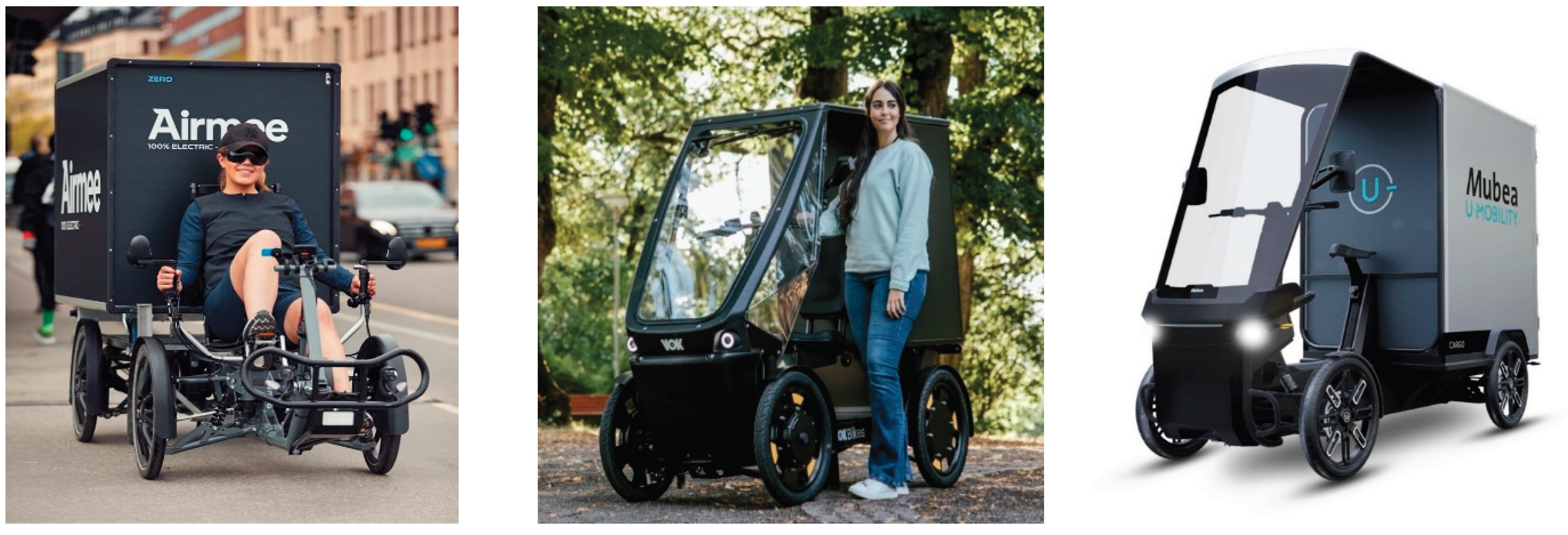 Preprints 178032 g001b