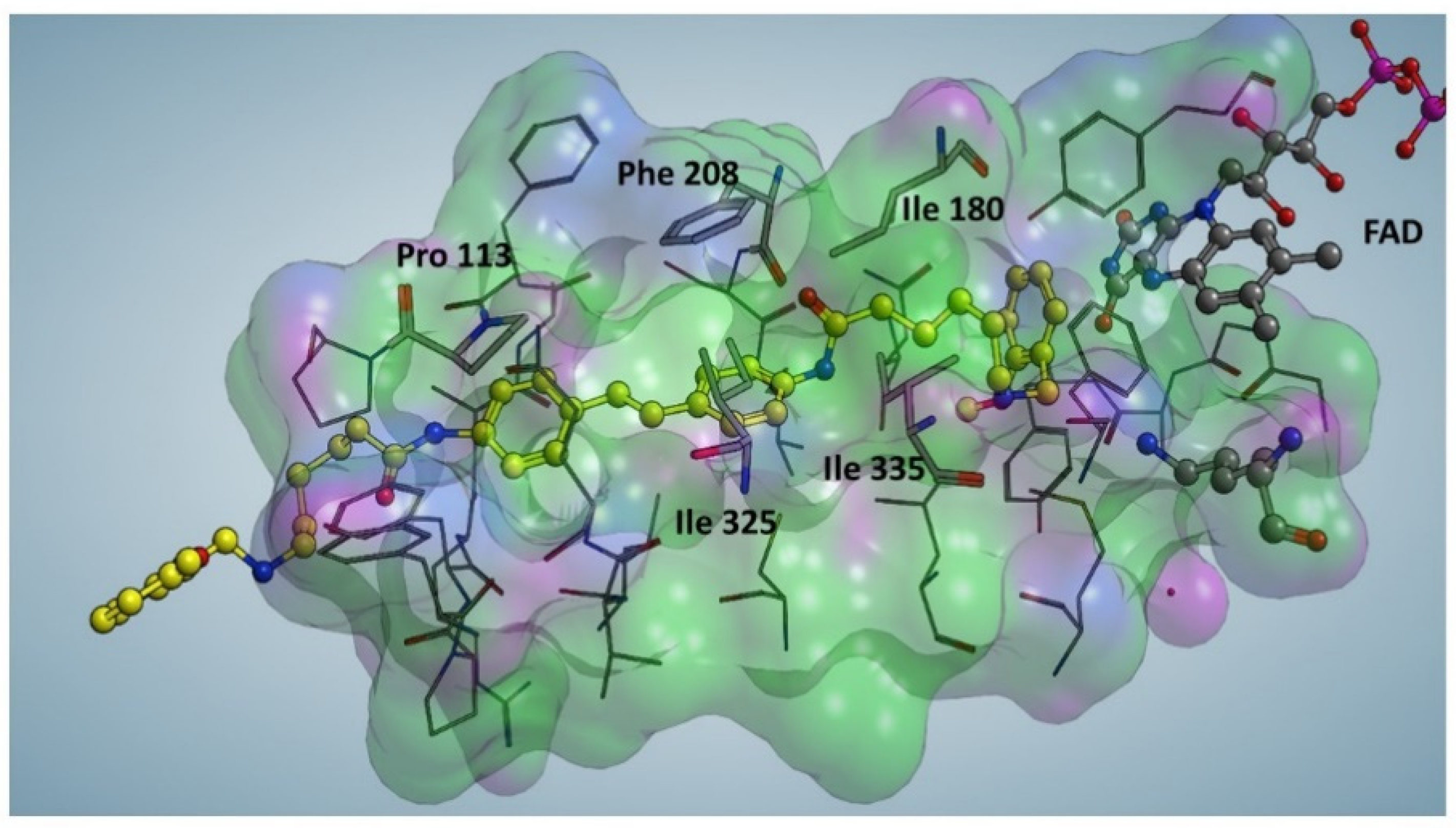 Preprints 81521 g004