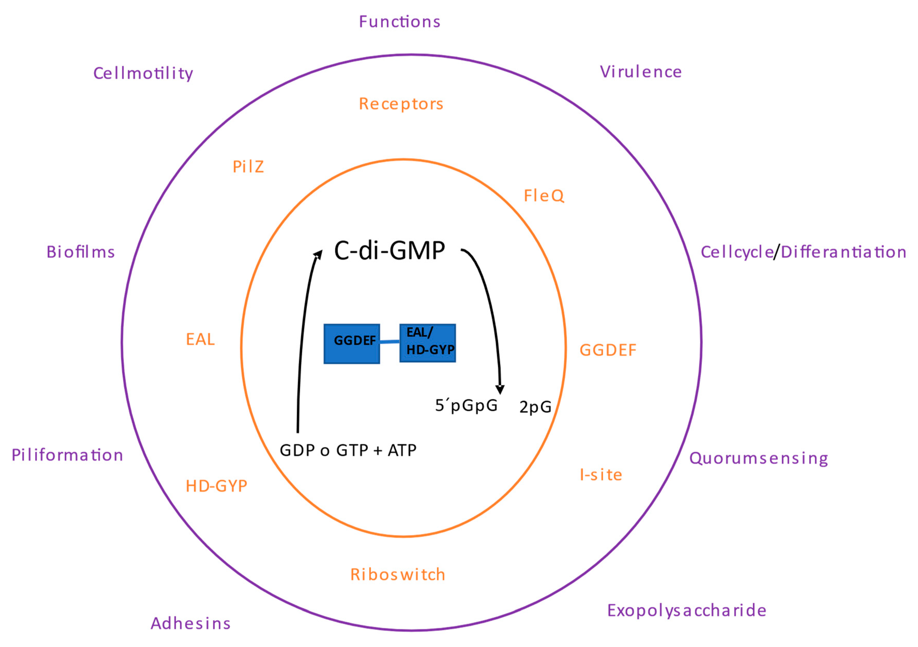 Preprints 88939 g001