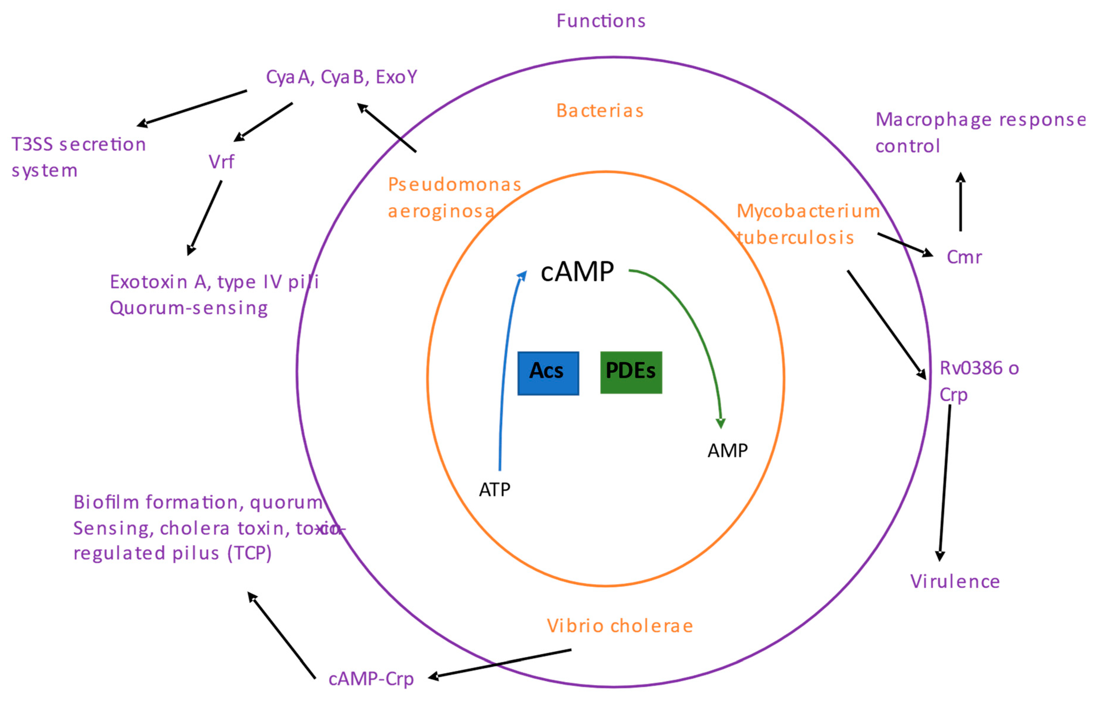 Preprints 88939 g002