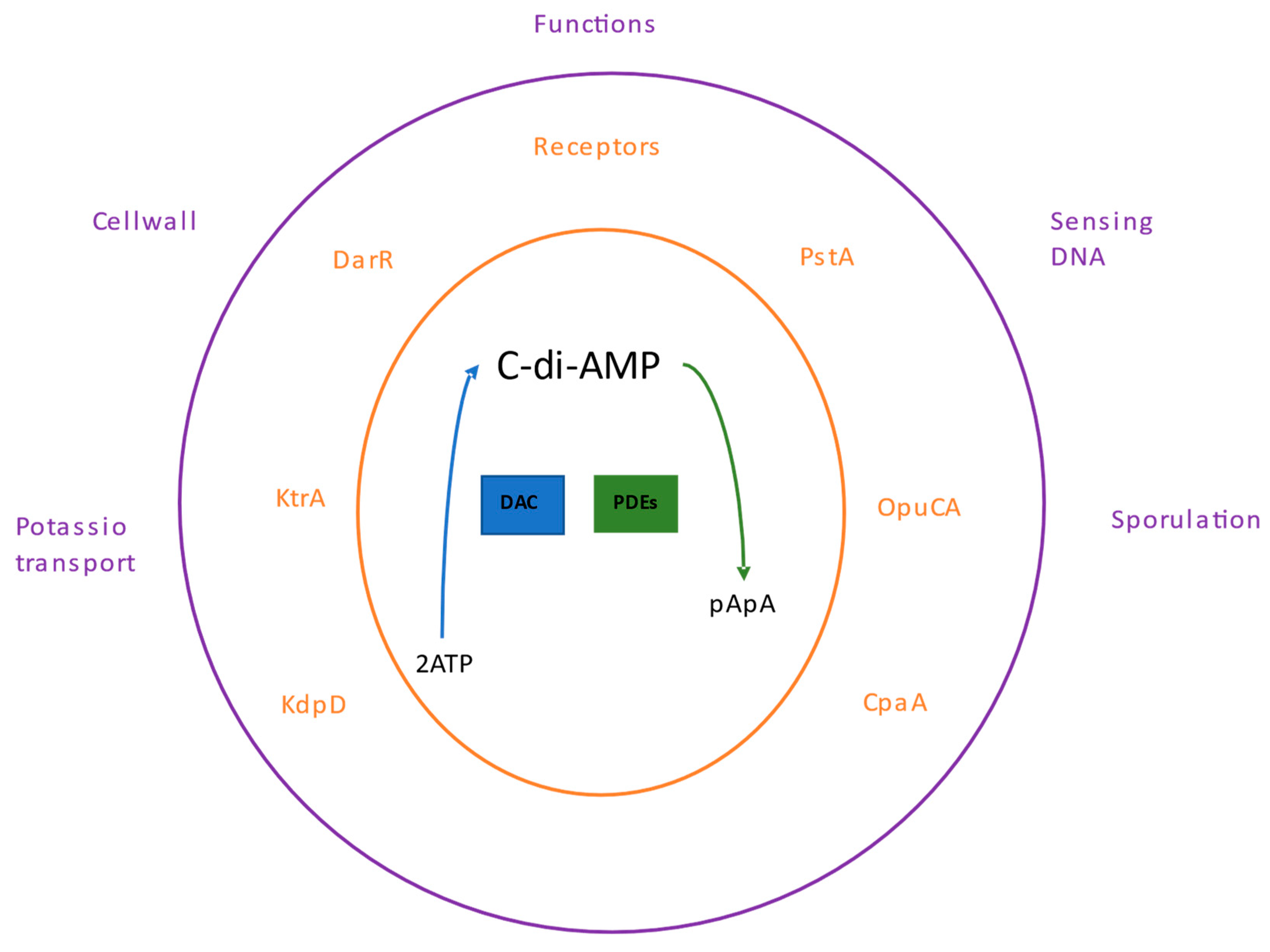 Preprints 88939 g003