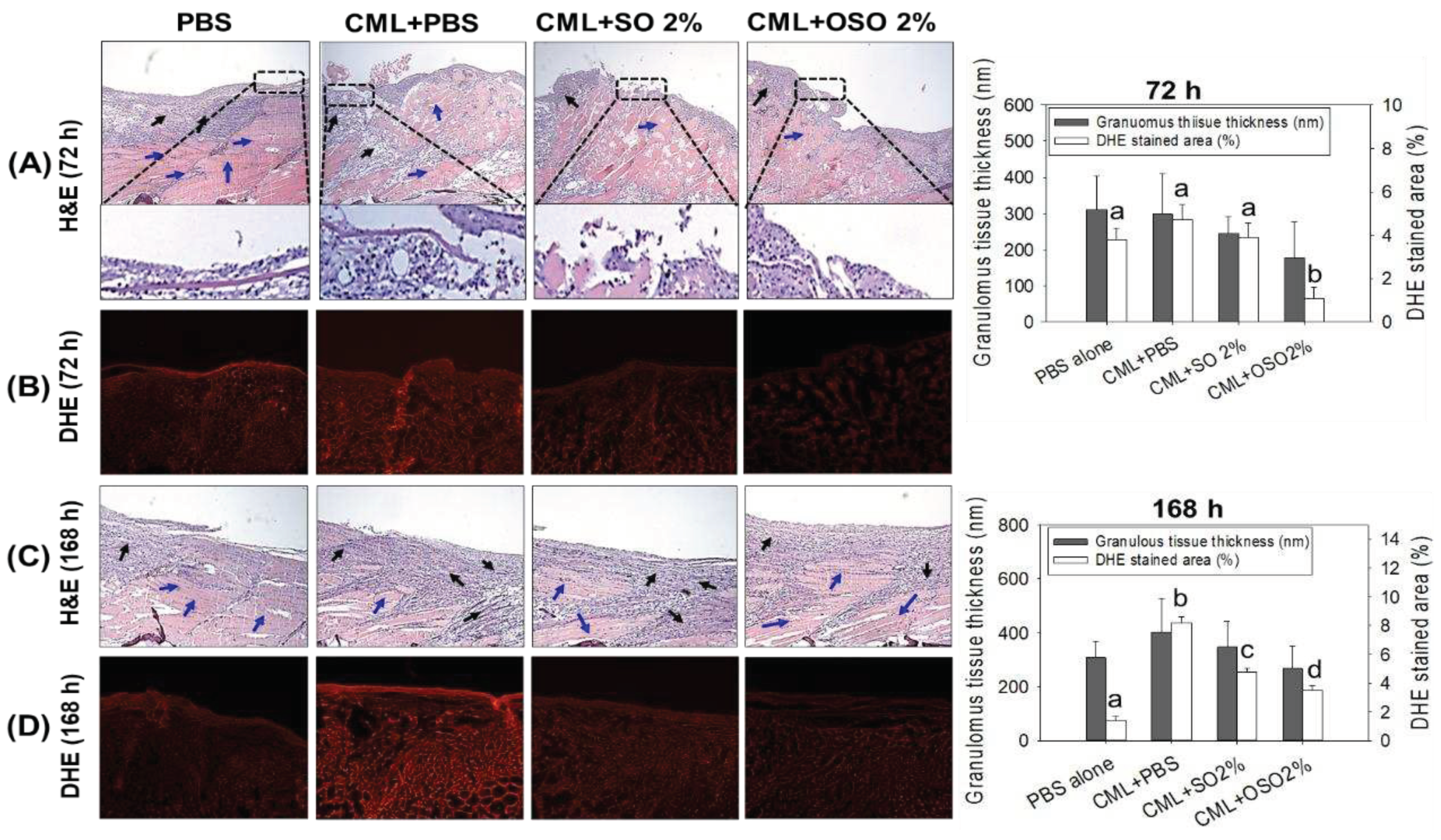 Preprints 80763 g002