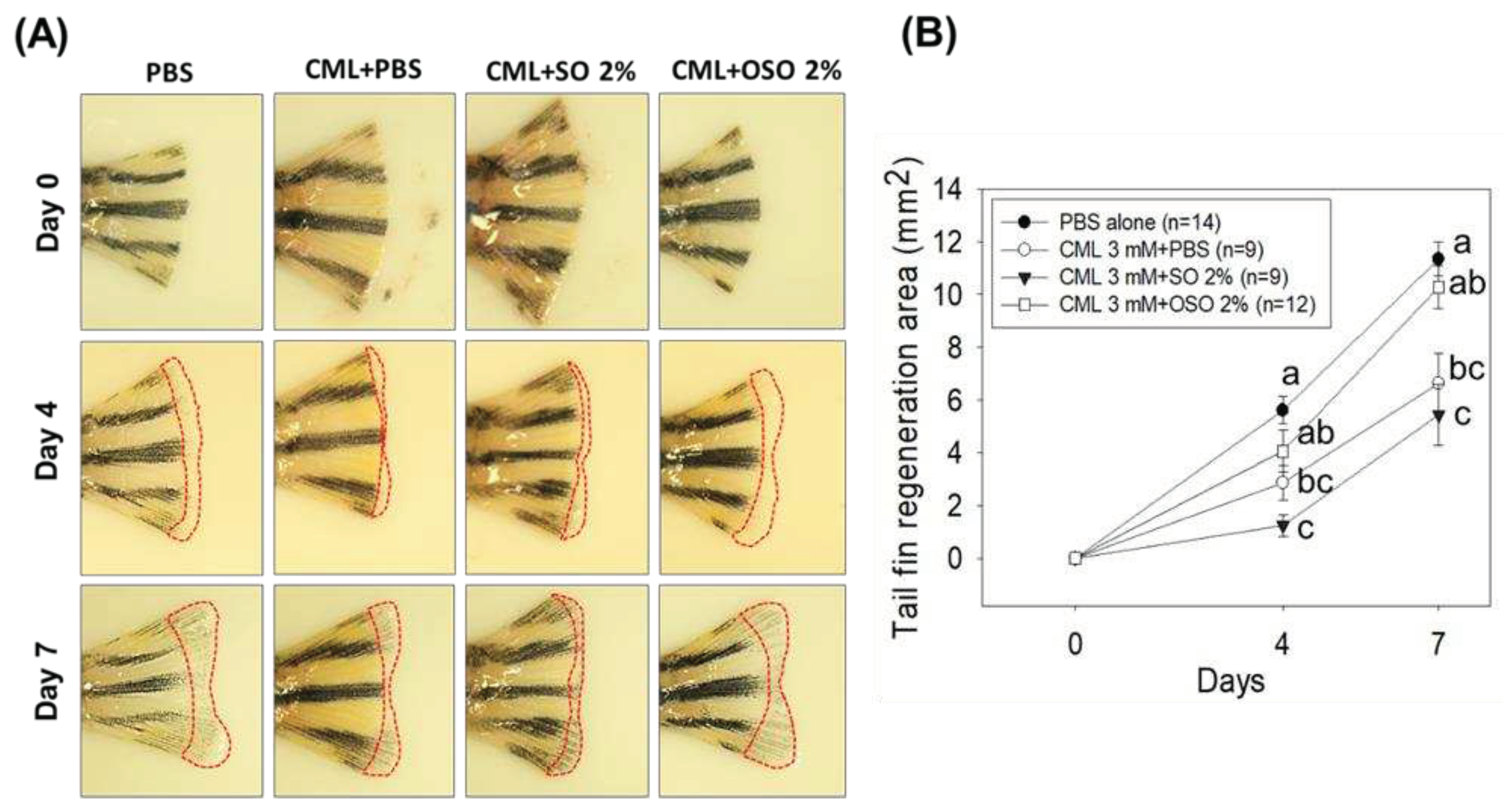Preprints 80763 g003