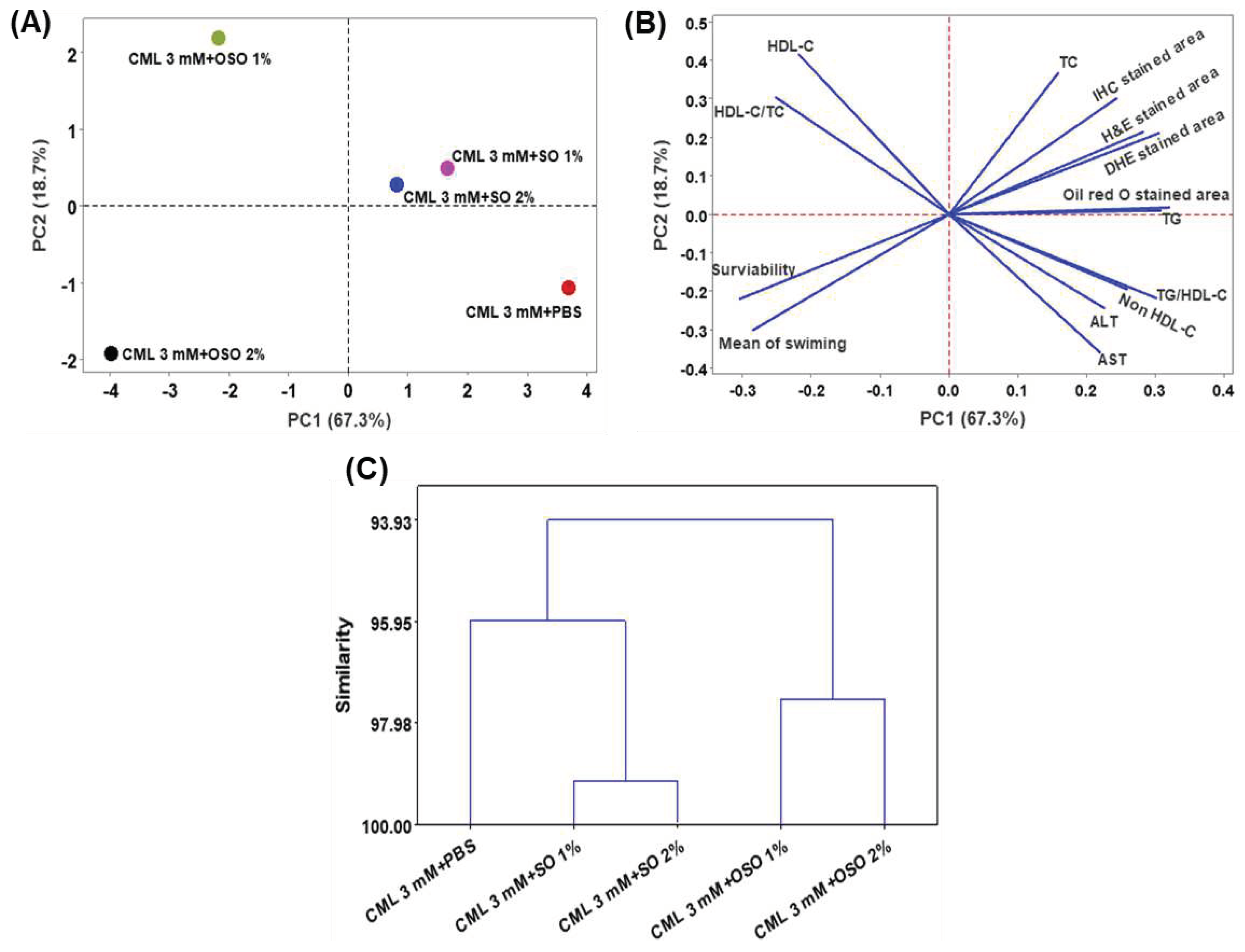 Preprints 80763 g008