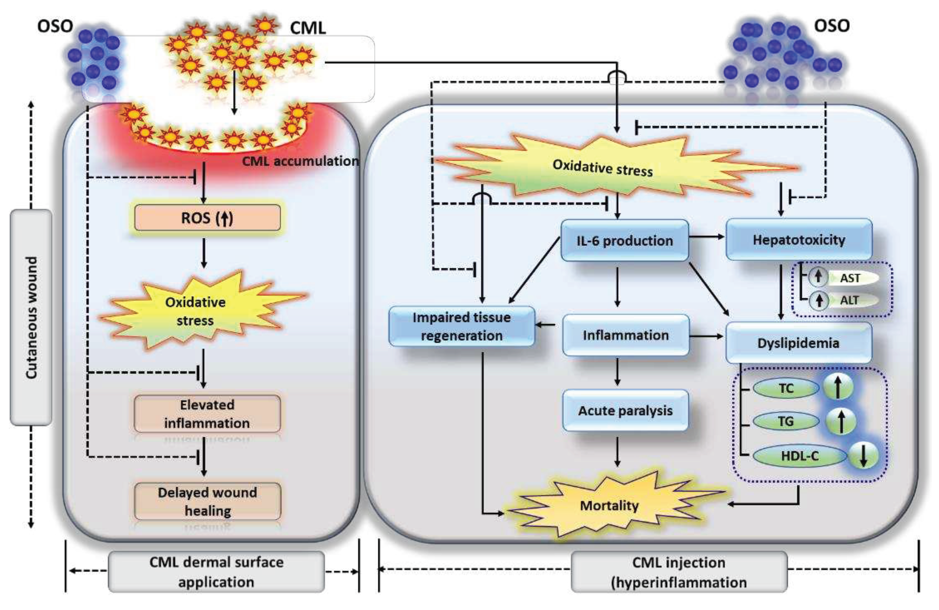 Preprints 80763 g009