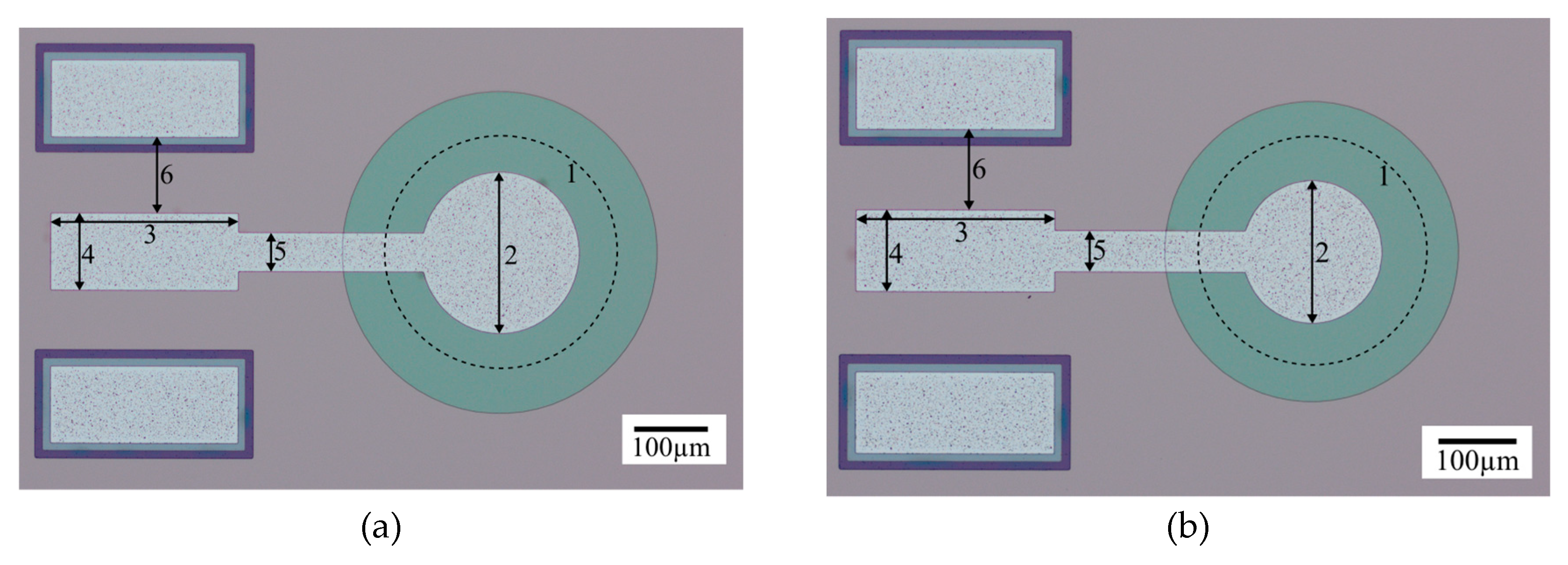 Preprints 86665 g009