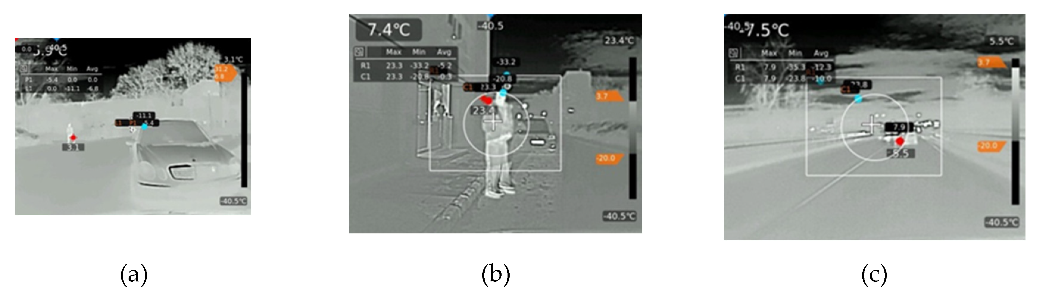 Preprints 196616 g006