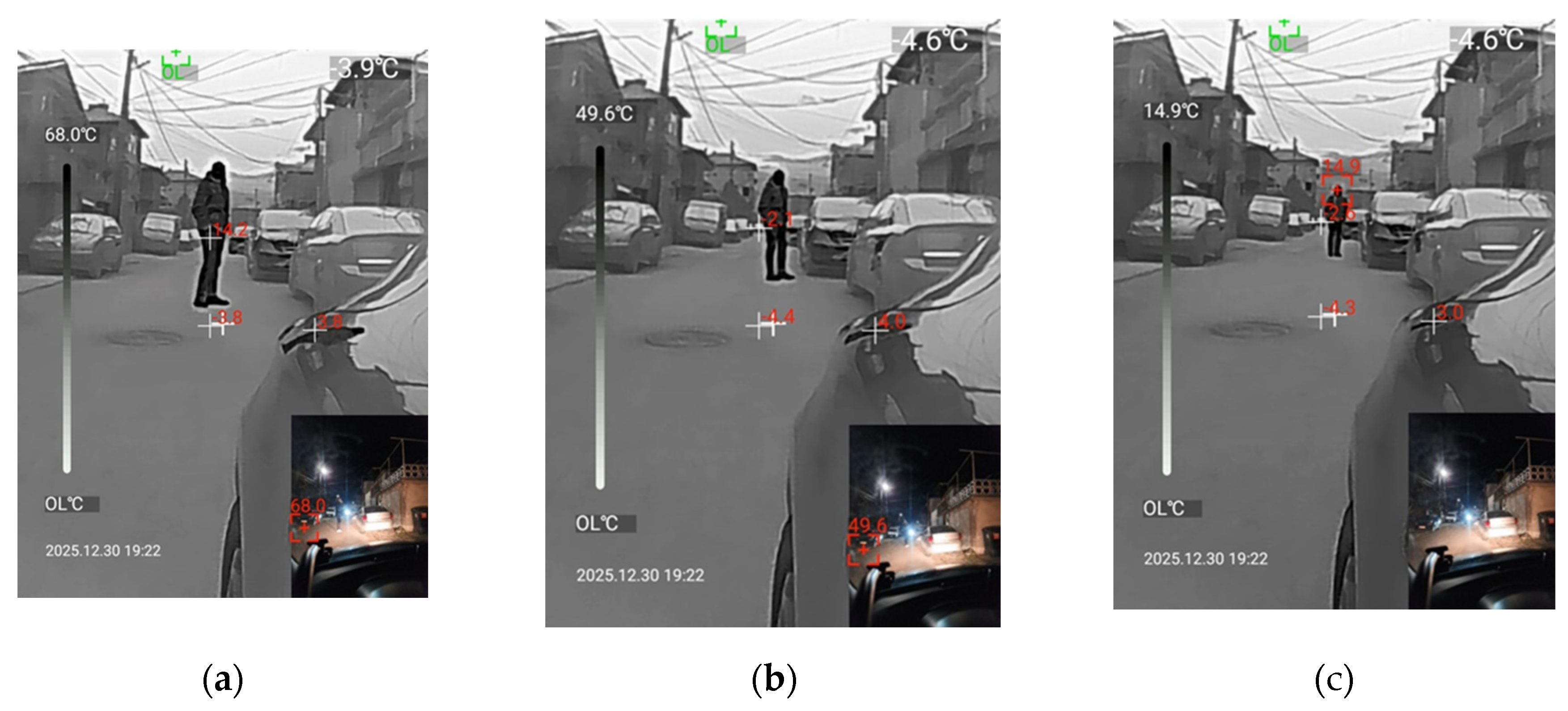 Preprints 196616 g010