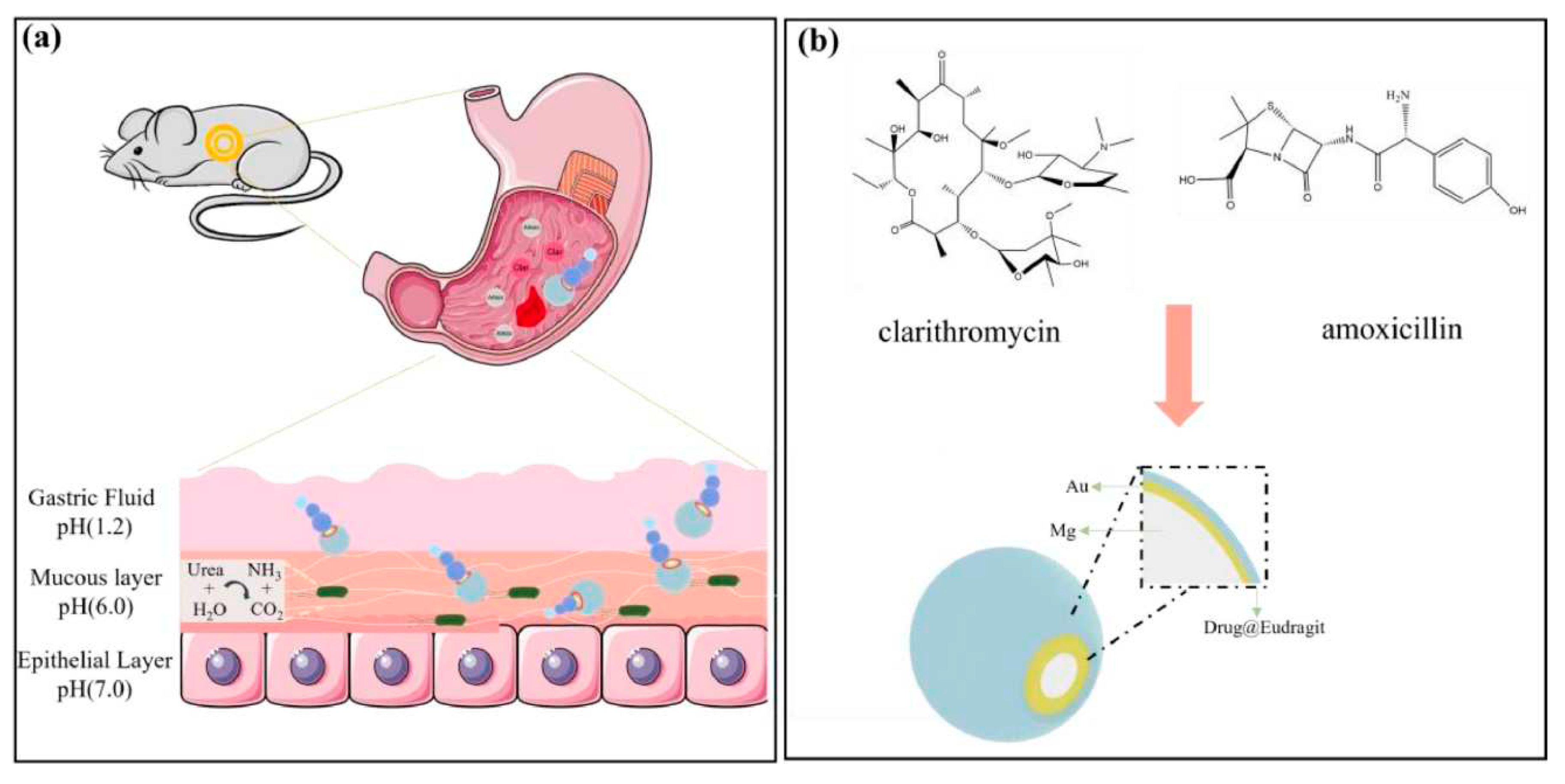 Preprints 80676 g001