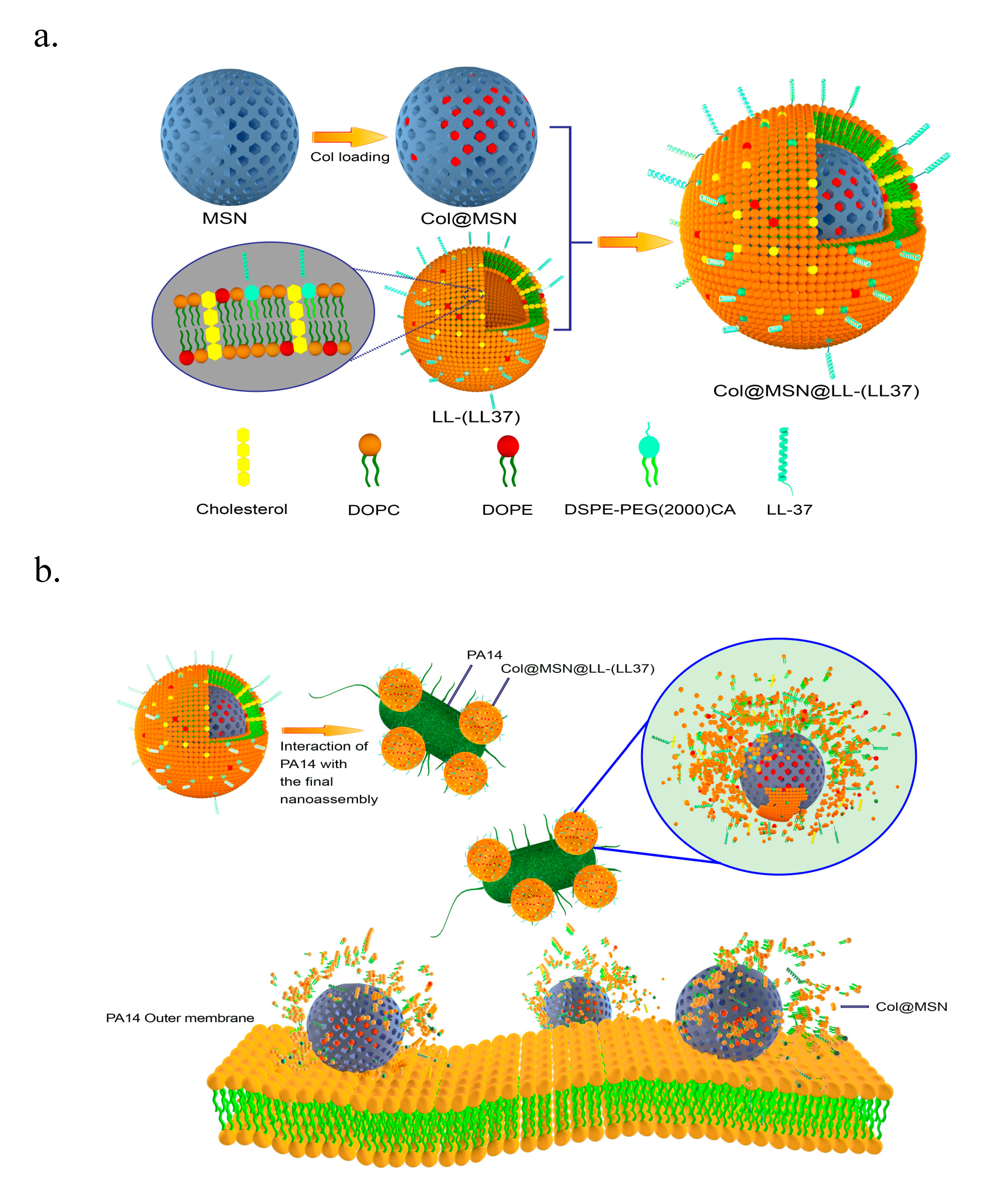 Preprints 80676 g002