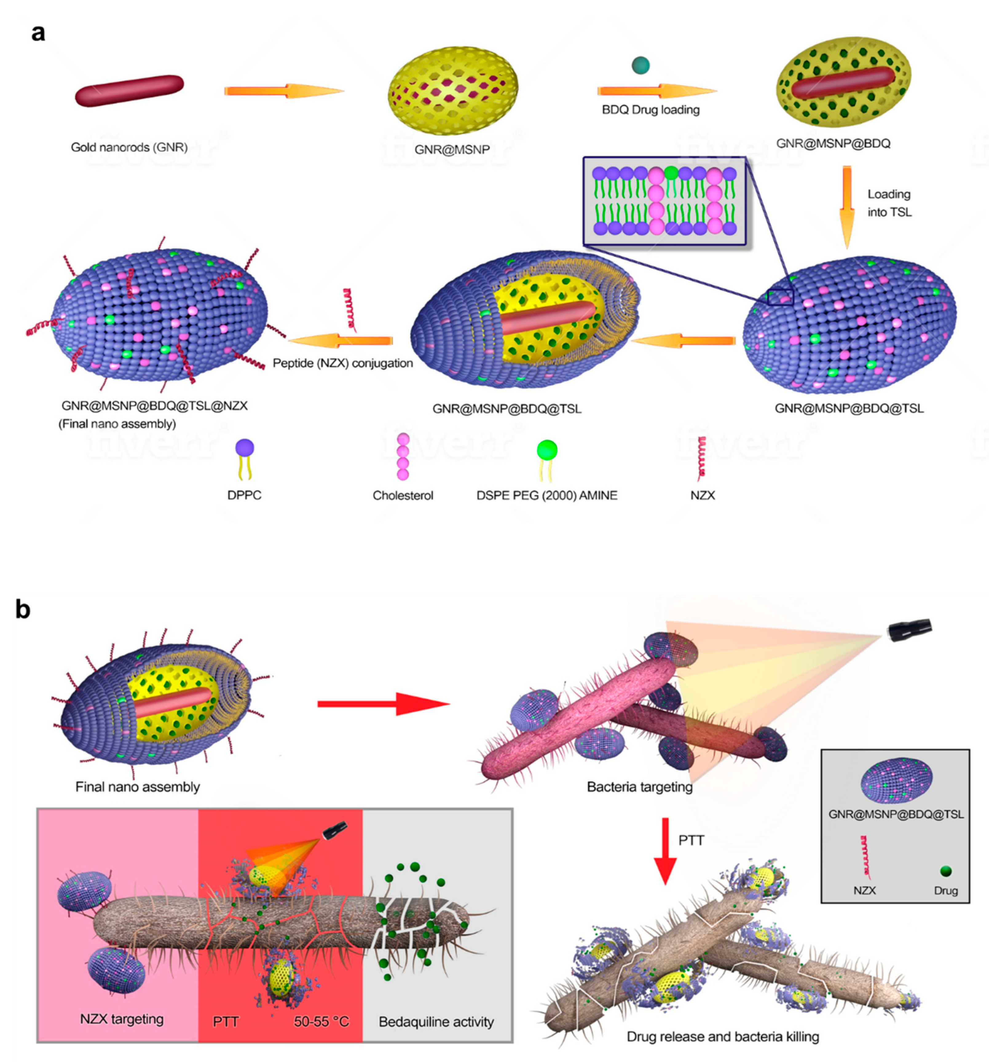 Preprints 80676 g003