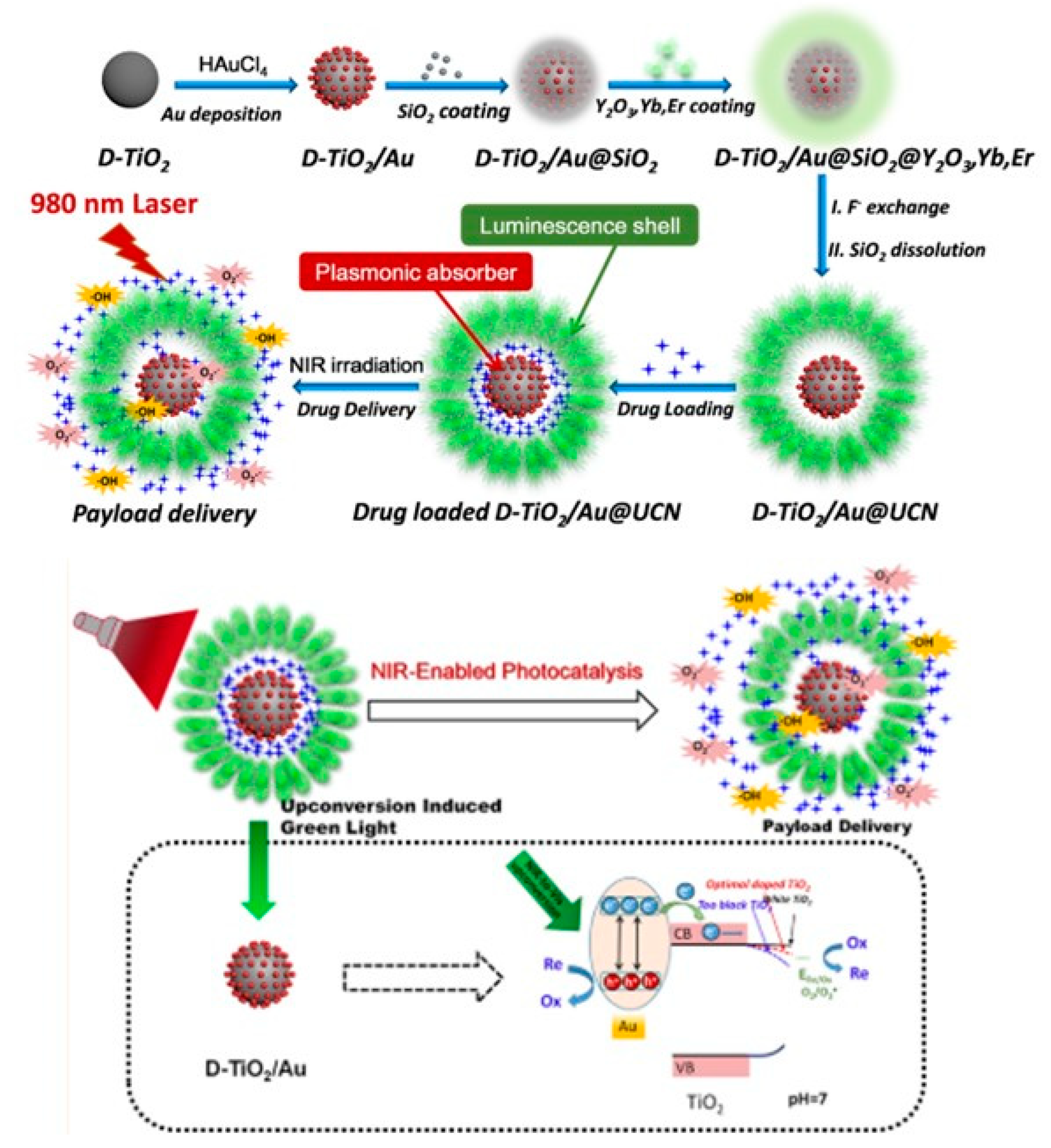 Preprints 80676 g005