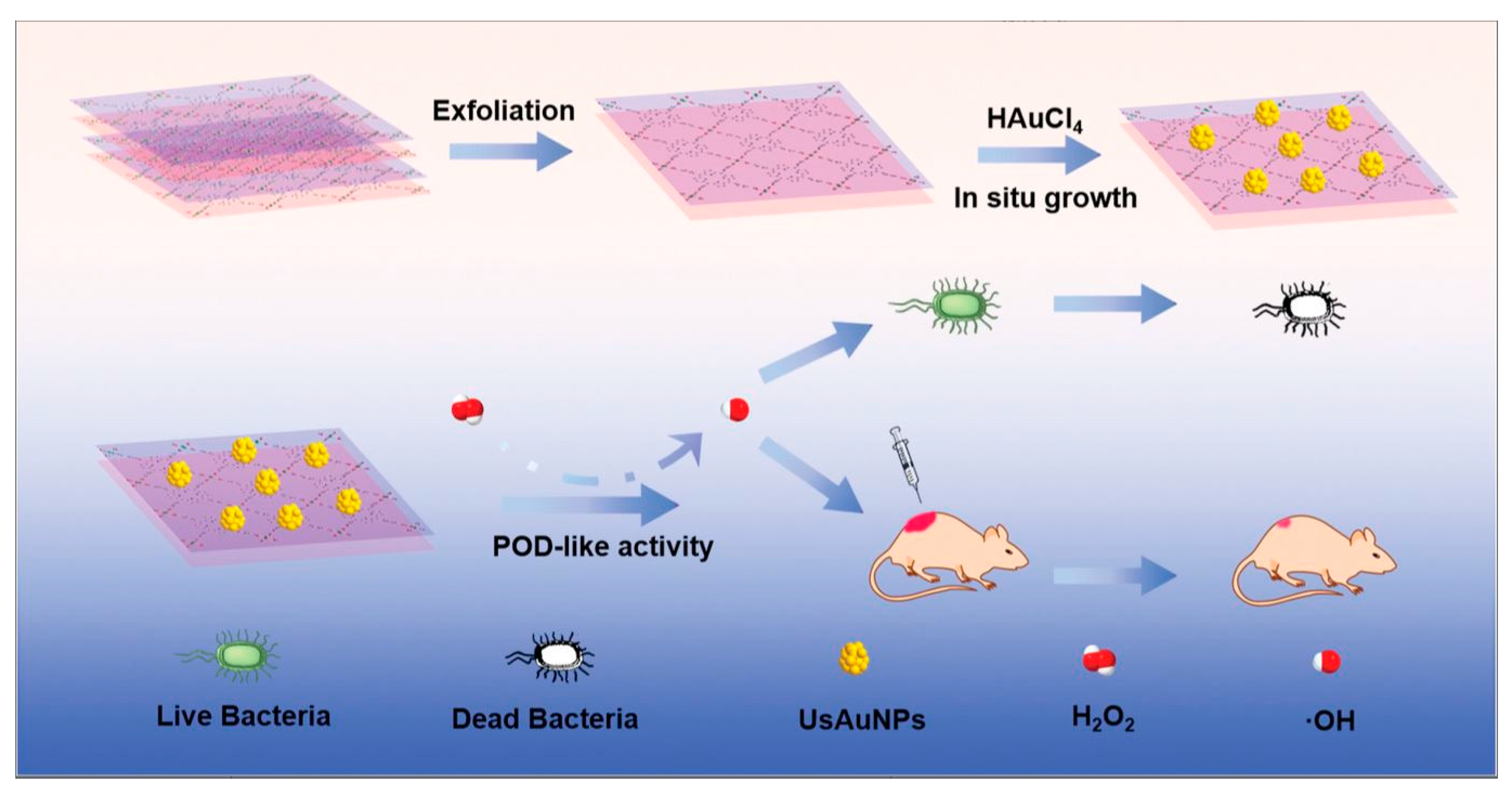Preprints 80676 g006