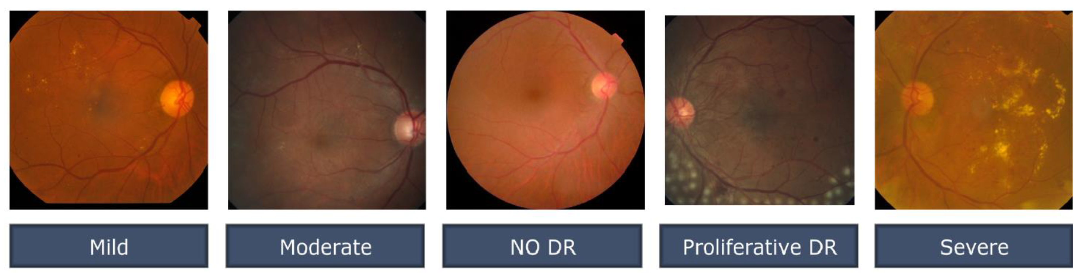 Preprints 68460 g003