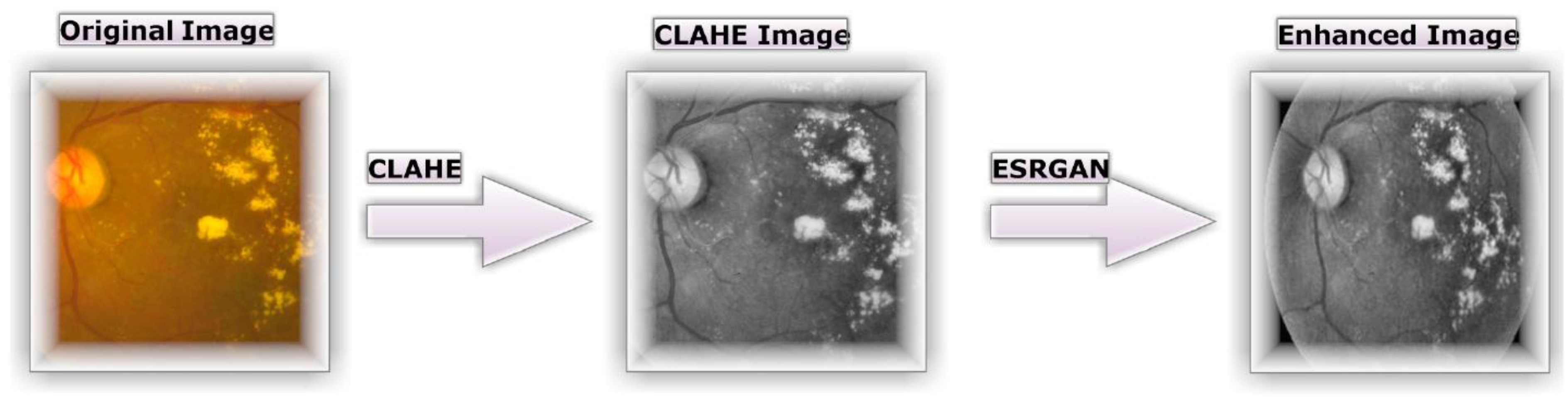 Preprints 68460 g004