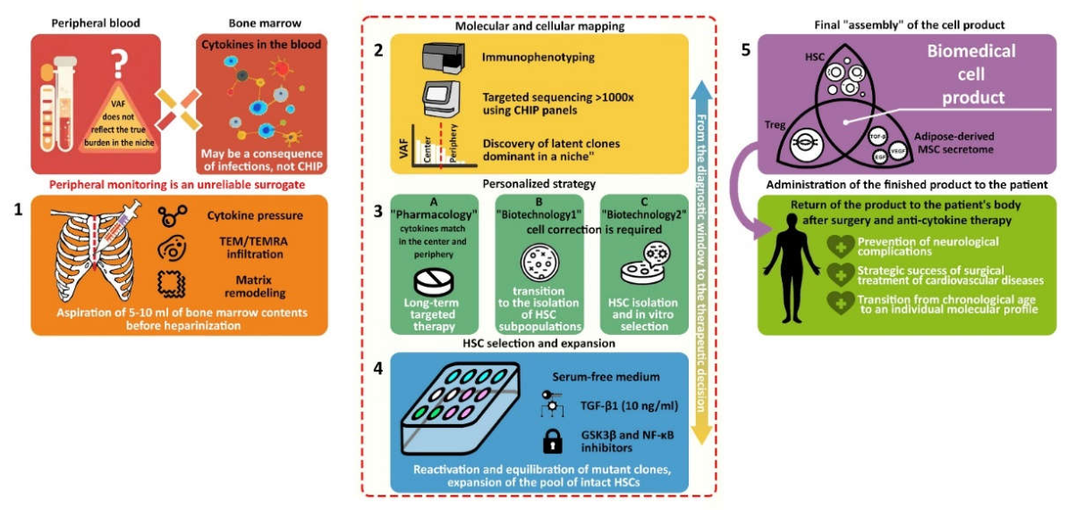 Preprints 221063 g003 Preprints 221063 g003