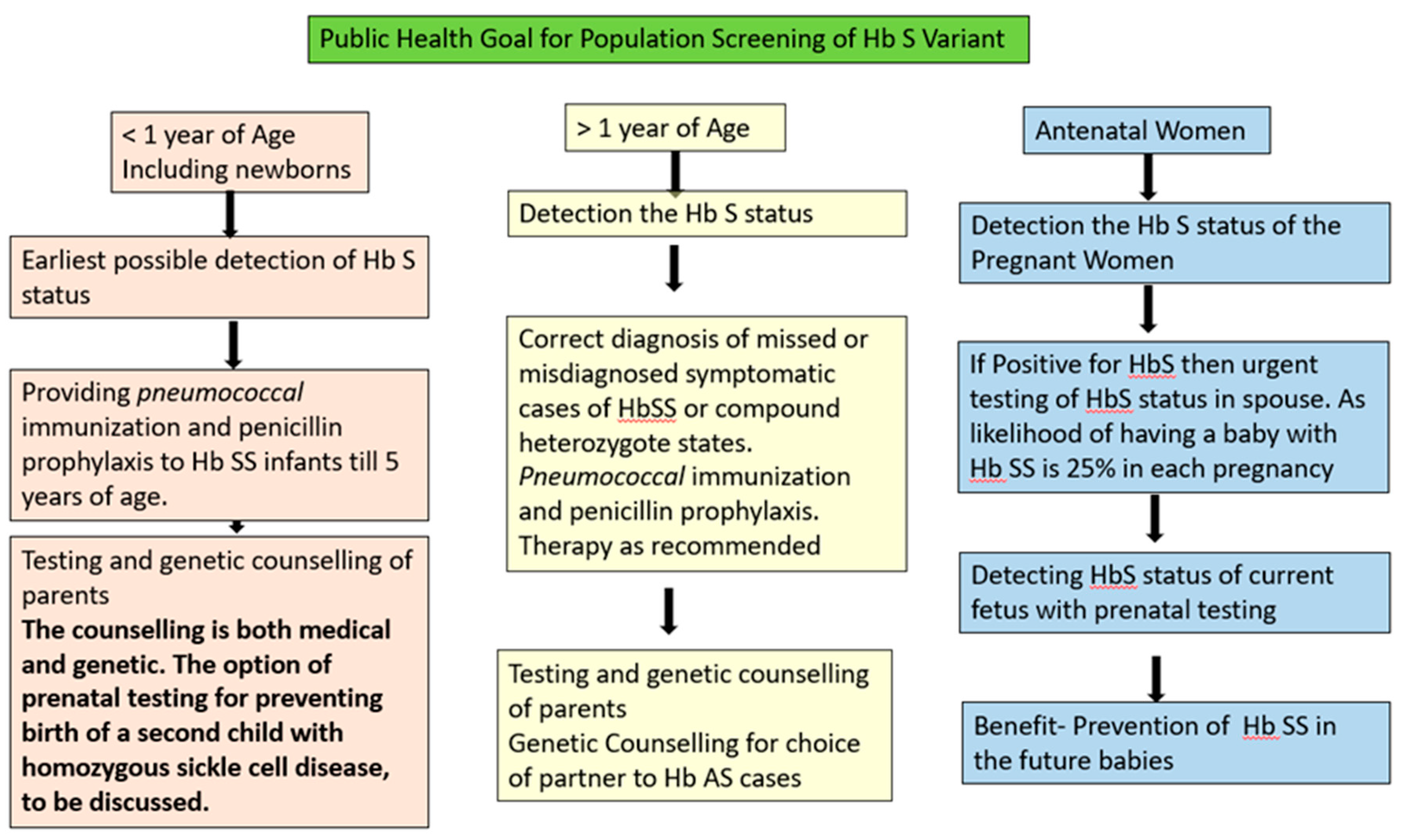 Preprints 113949 g001